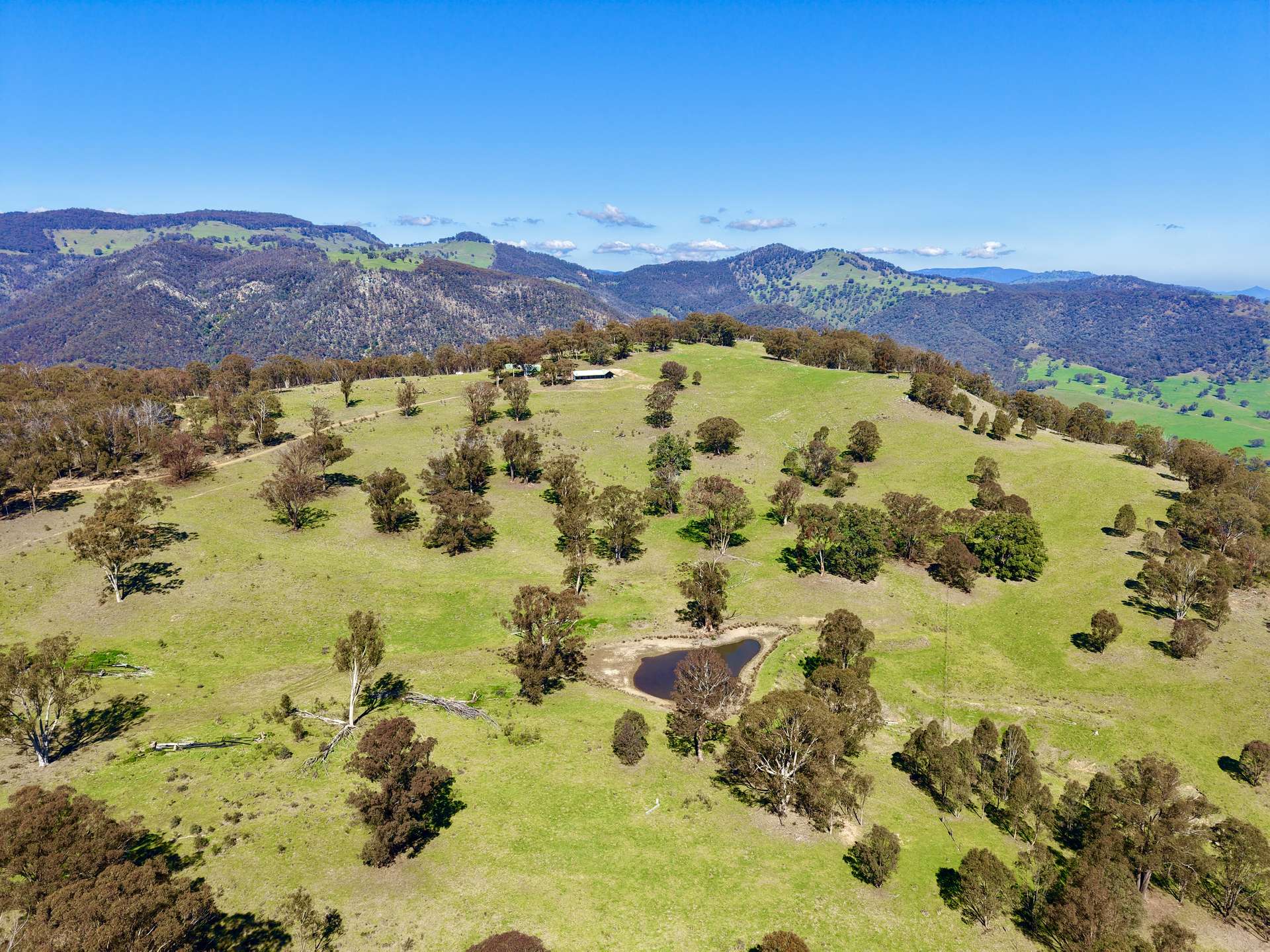 "Sunset Ridge" 840 Tomalla Road Omadale Via, Scone For Sale by Farmbuy.com - image 2