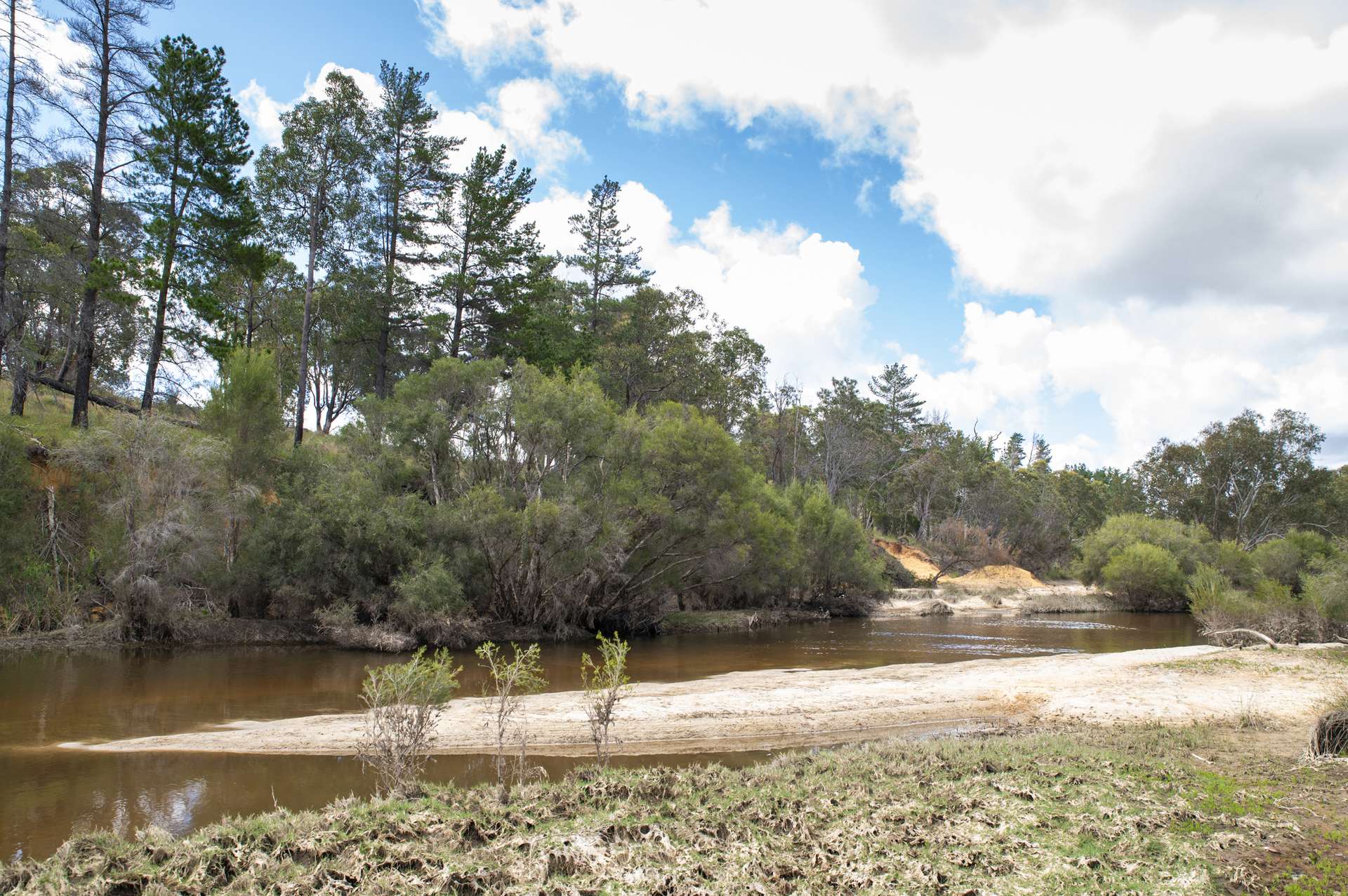 1129 Bennies Road, Cowalla For Sale by Farmbuy.com - image 6
