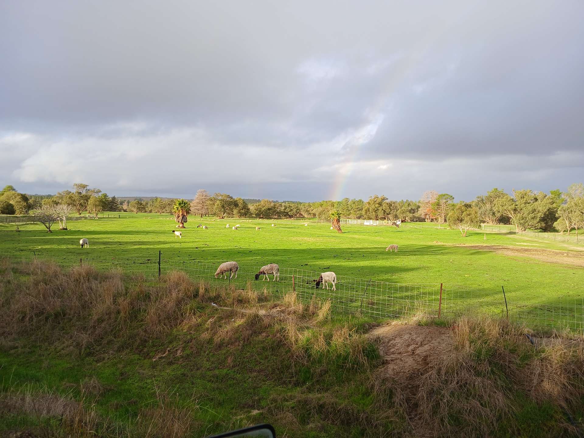 1129 Bennies Road, Cowalla For Sale by Farmbuy.com - image 13