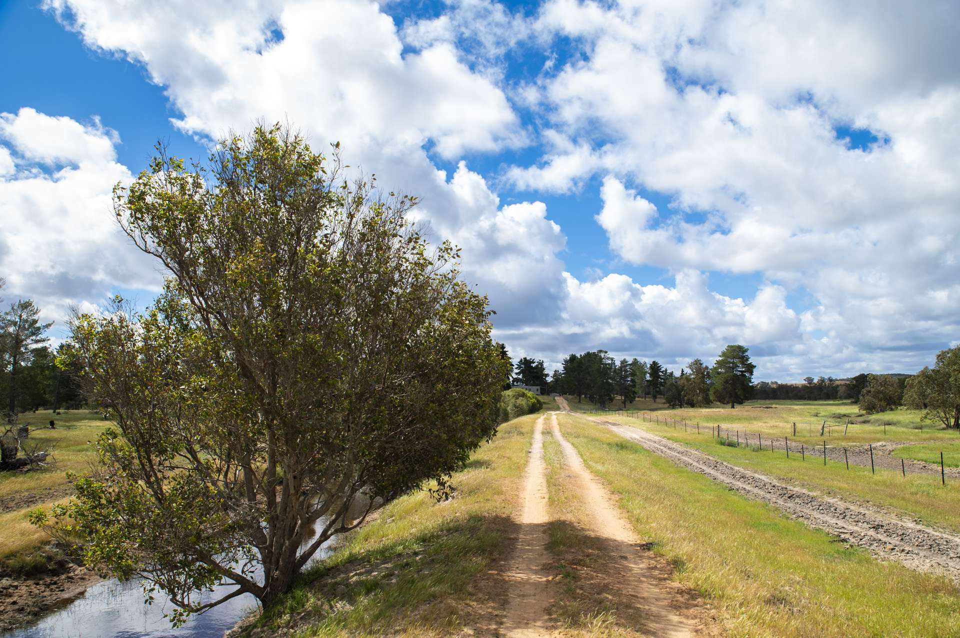 1129 Bennies Road, Cowalla For Sale by Farmbuy.com - image 8