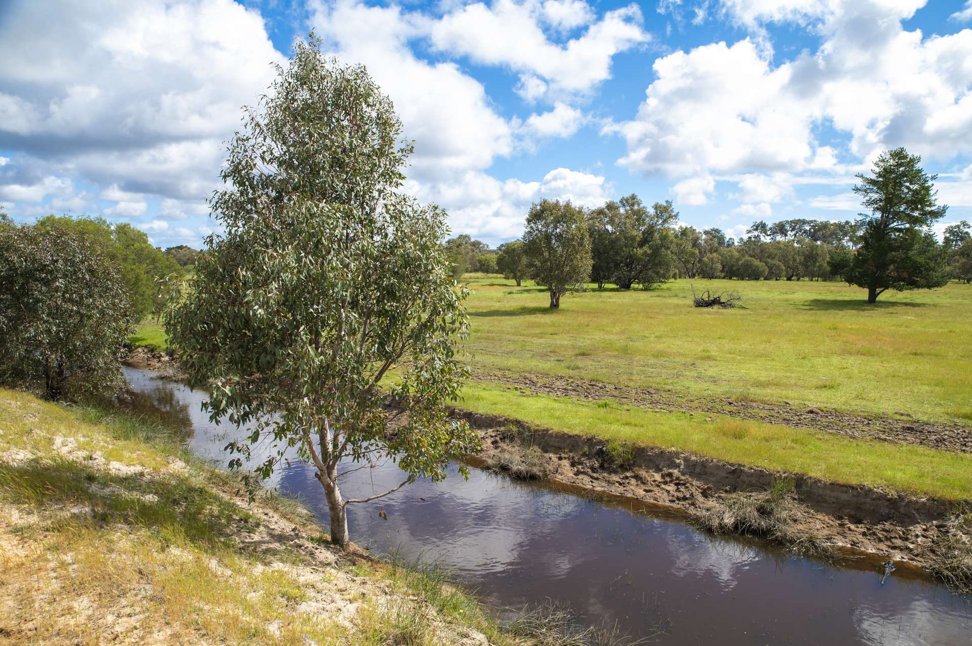 1129 Bennies Road, Cowalla For Sale by Farmbuy.com - image 5