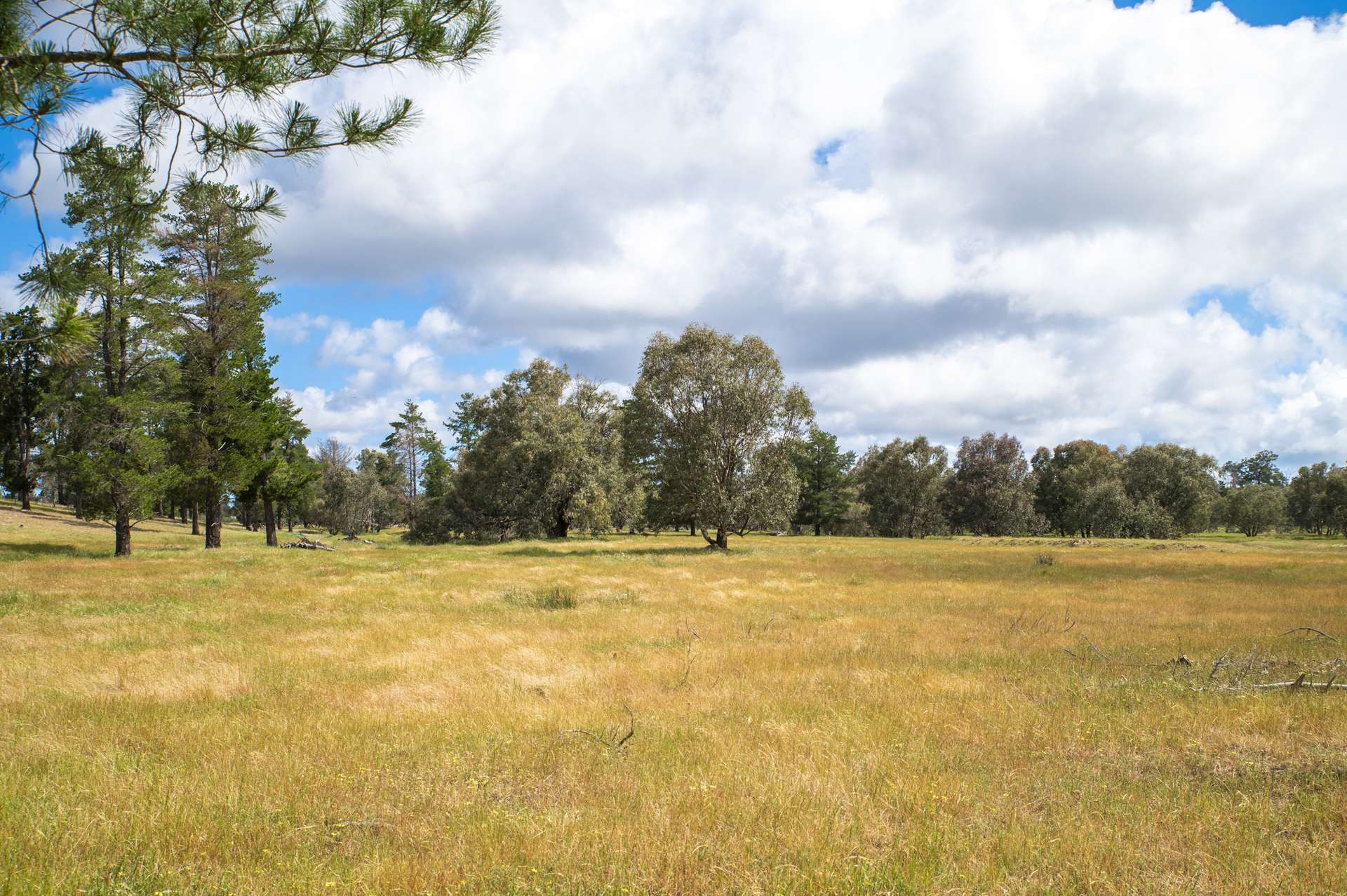 1129 Bennies Road, Cowalla For Sale by Farmbuy.com - image 9