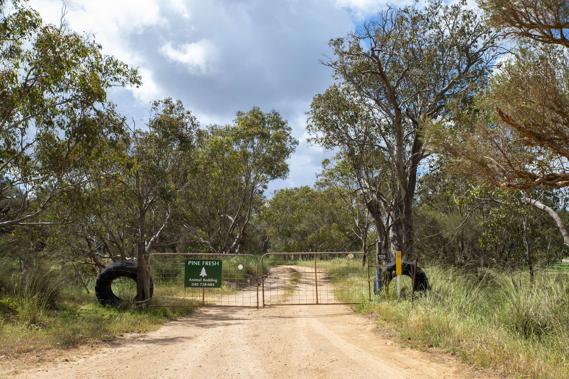 1129 Bennies Road, Cowalla For Sale by Farmbuy.com - image 7