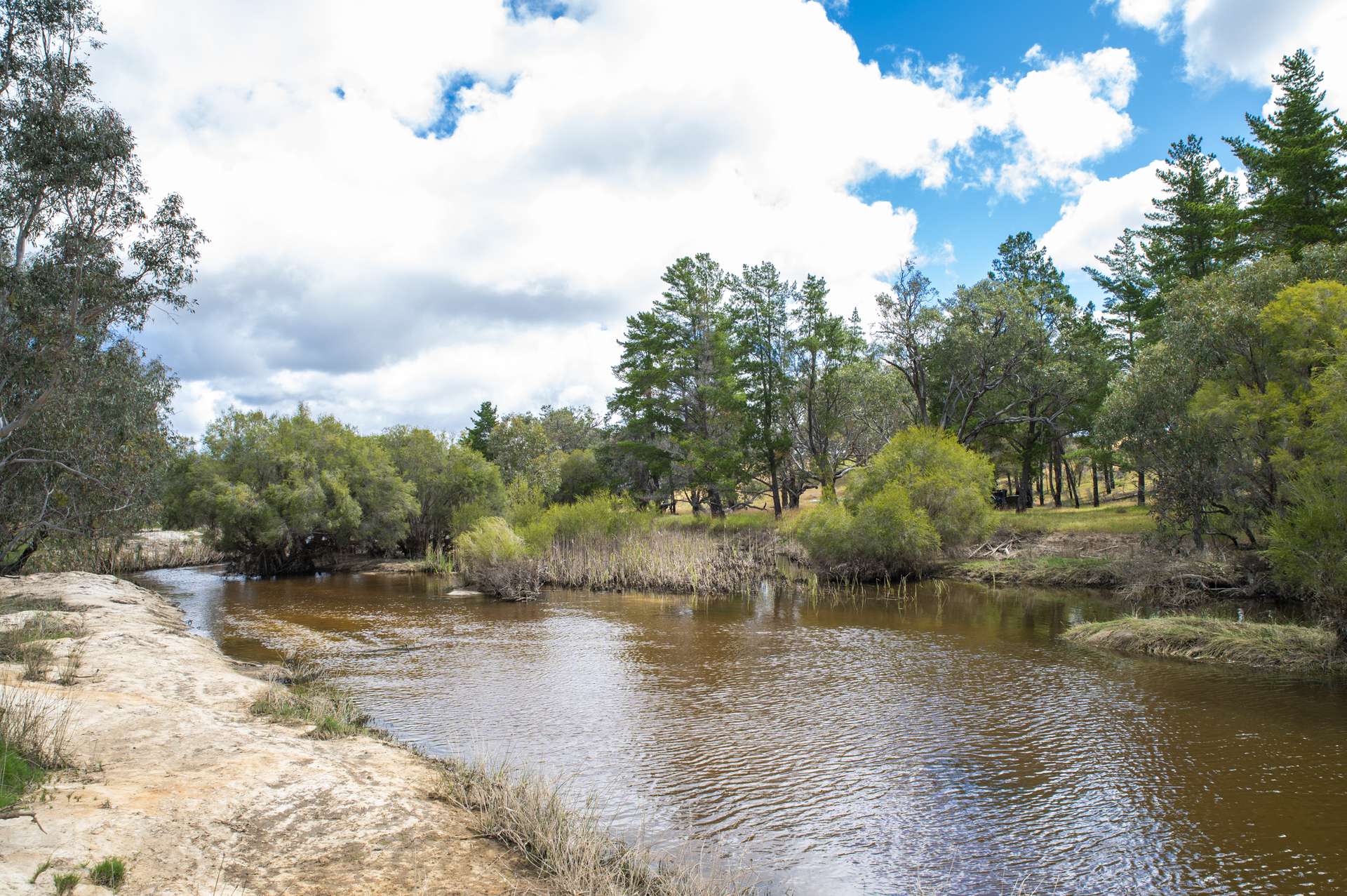 1129 Bennies Road, Cowalla For Sale by Farmbuy.com - image 11