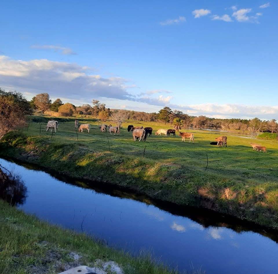 1129 Bennies Road, Cowalla For Sale by Farmbuy.com - image 14