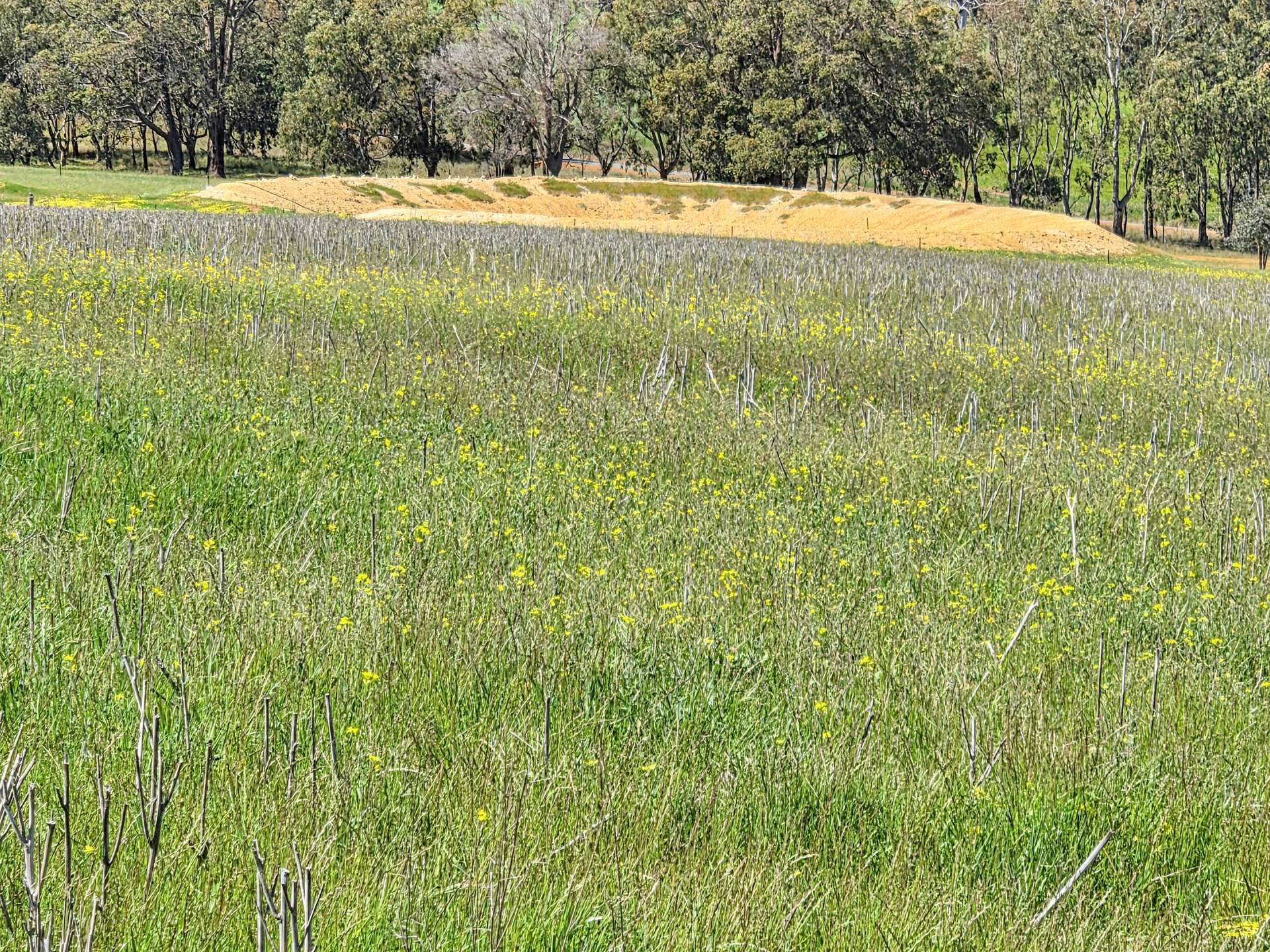 30 English Rd, Dardadine For Sale by Farmbuy.com - image 16