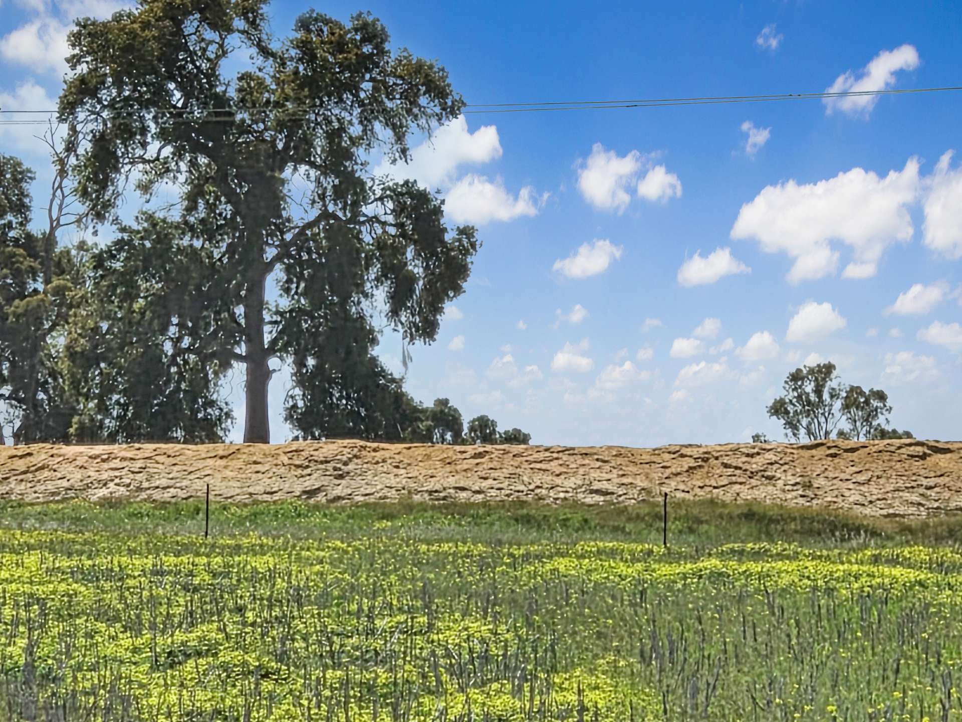 30 English Rd, Dardadine For Sale by Farmbuy.com - image 19