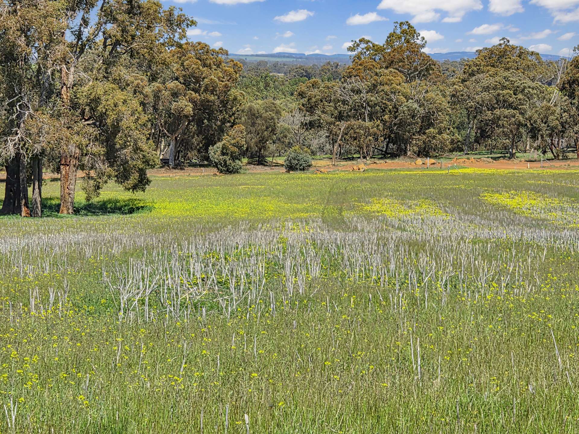30 English Rd, Dardadine For Sale by Farmbuy.com - image 14