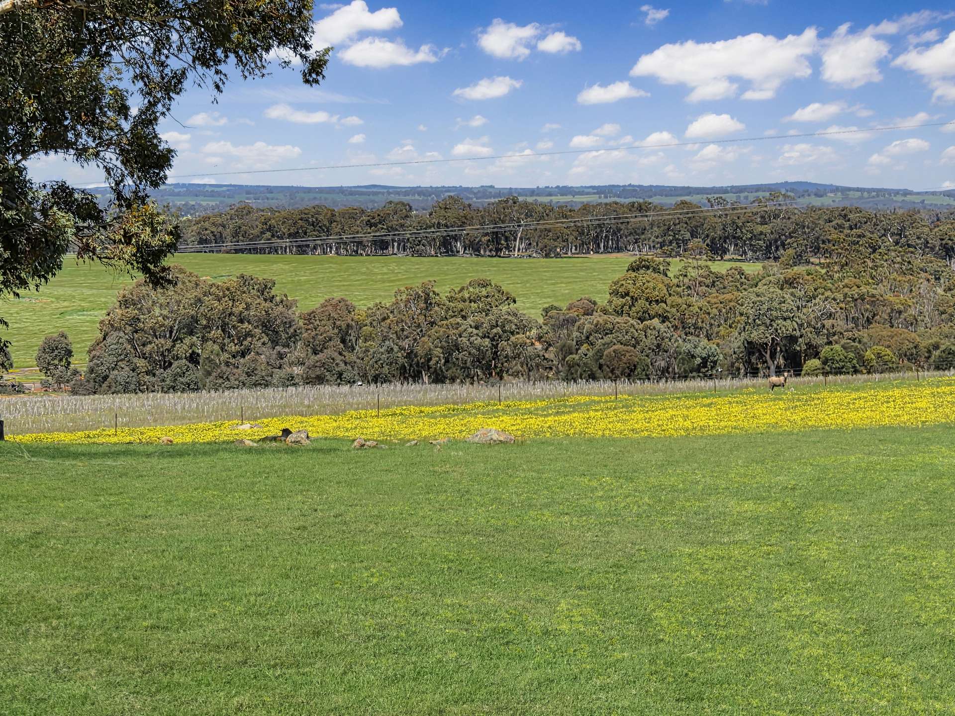 30 English Rd, Dardadine For Sale by Farmbuy.com - image 13