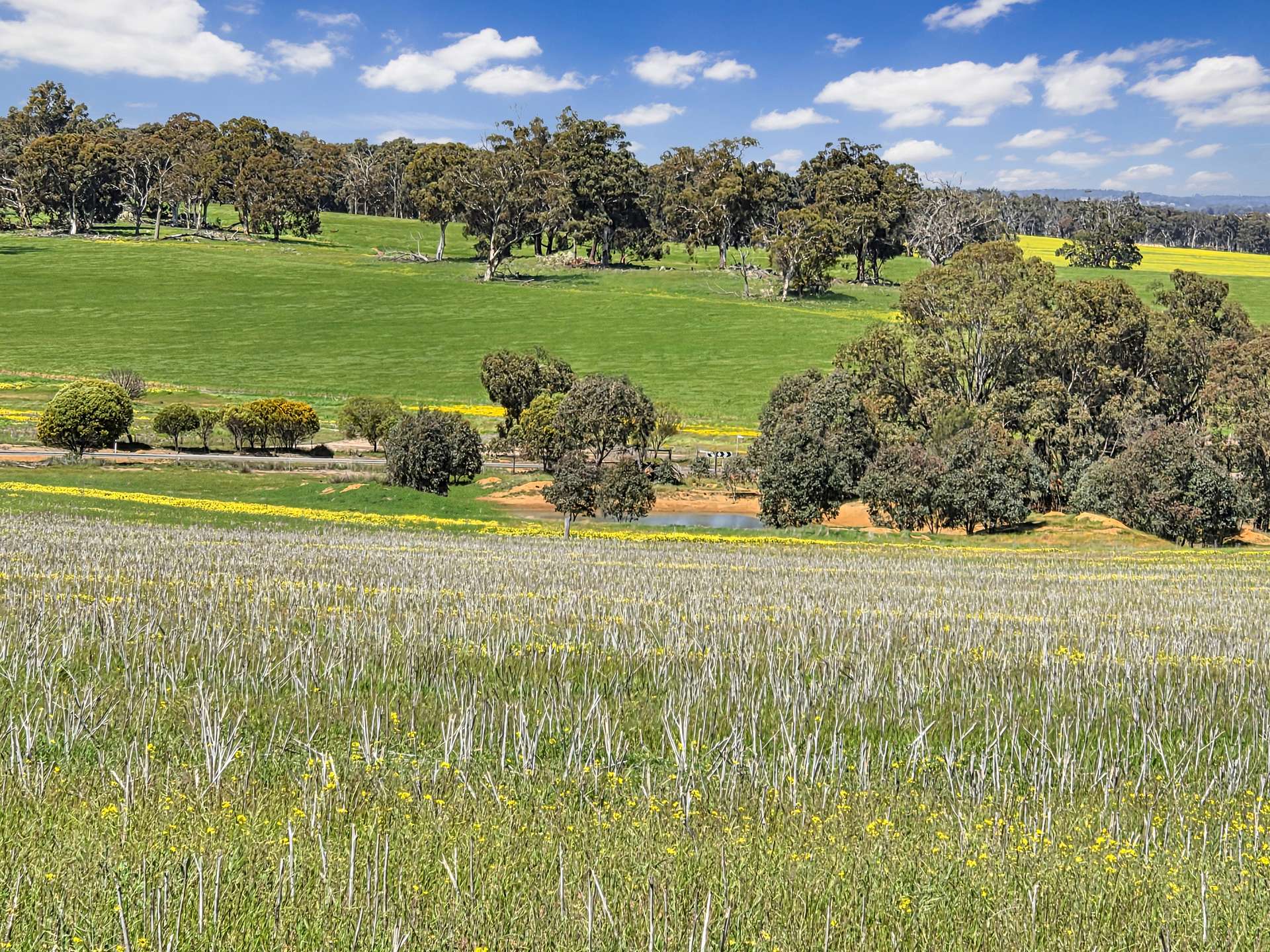 30 English Rd, Dardadine For Sale by Farmbuy.com - image 14