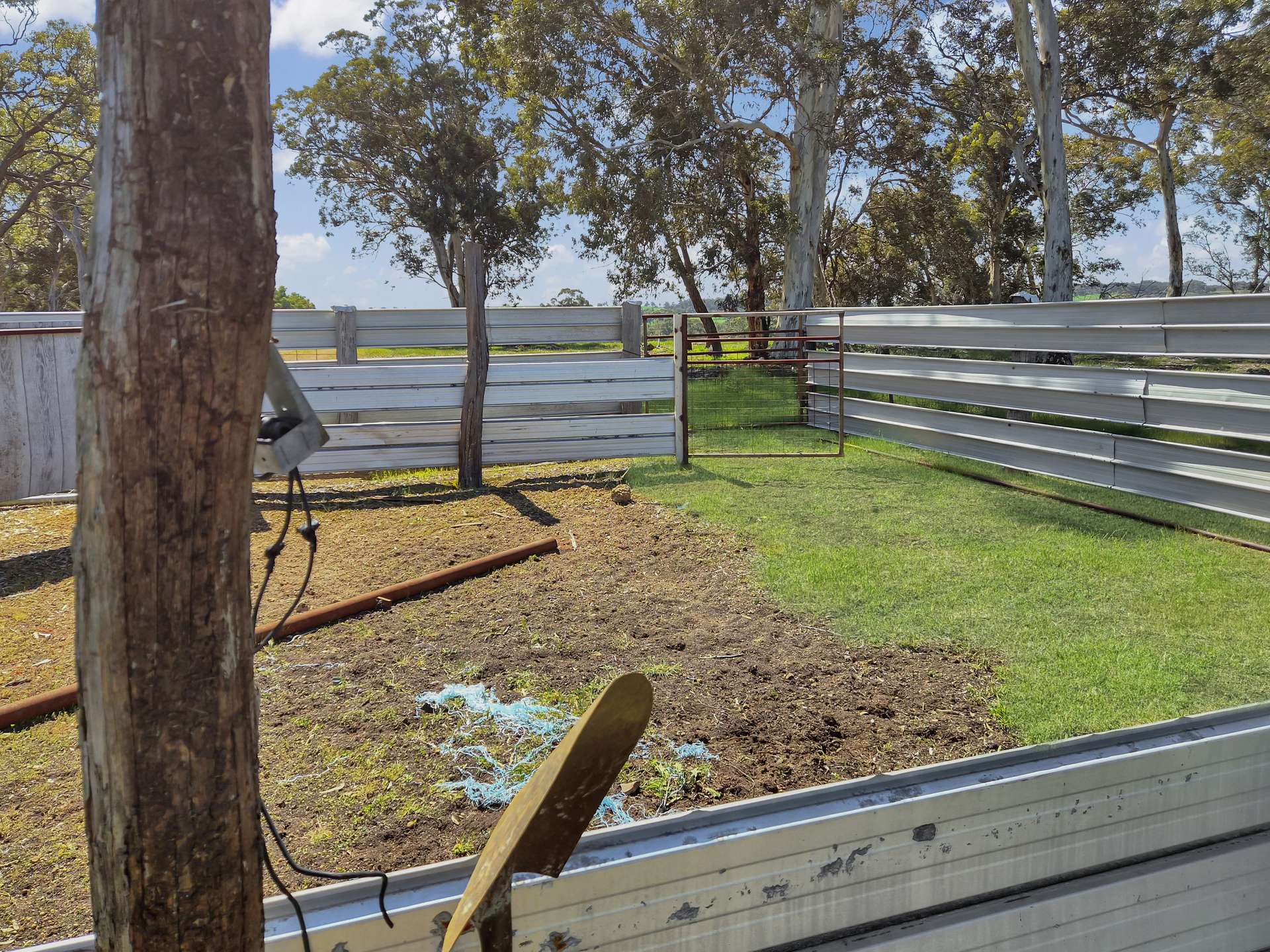 30 English Rd, Dardadine For Sale by Farmbuy.com - image 6