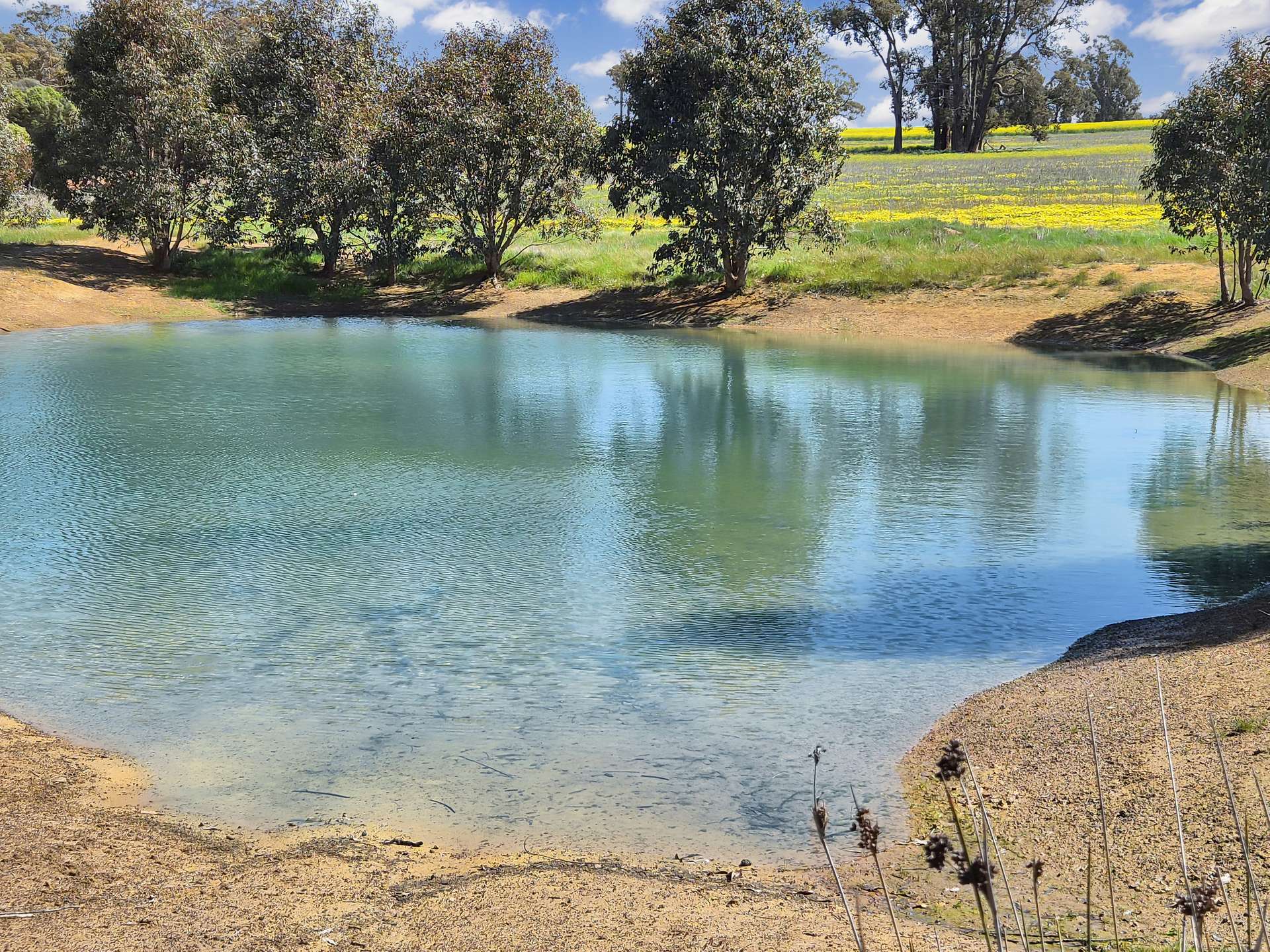 30 English Rd, Dardadine For Sale by Farmbuy.com - image 3