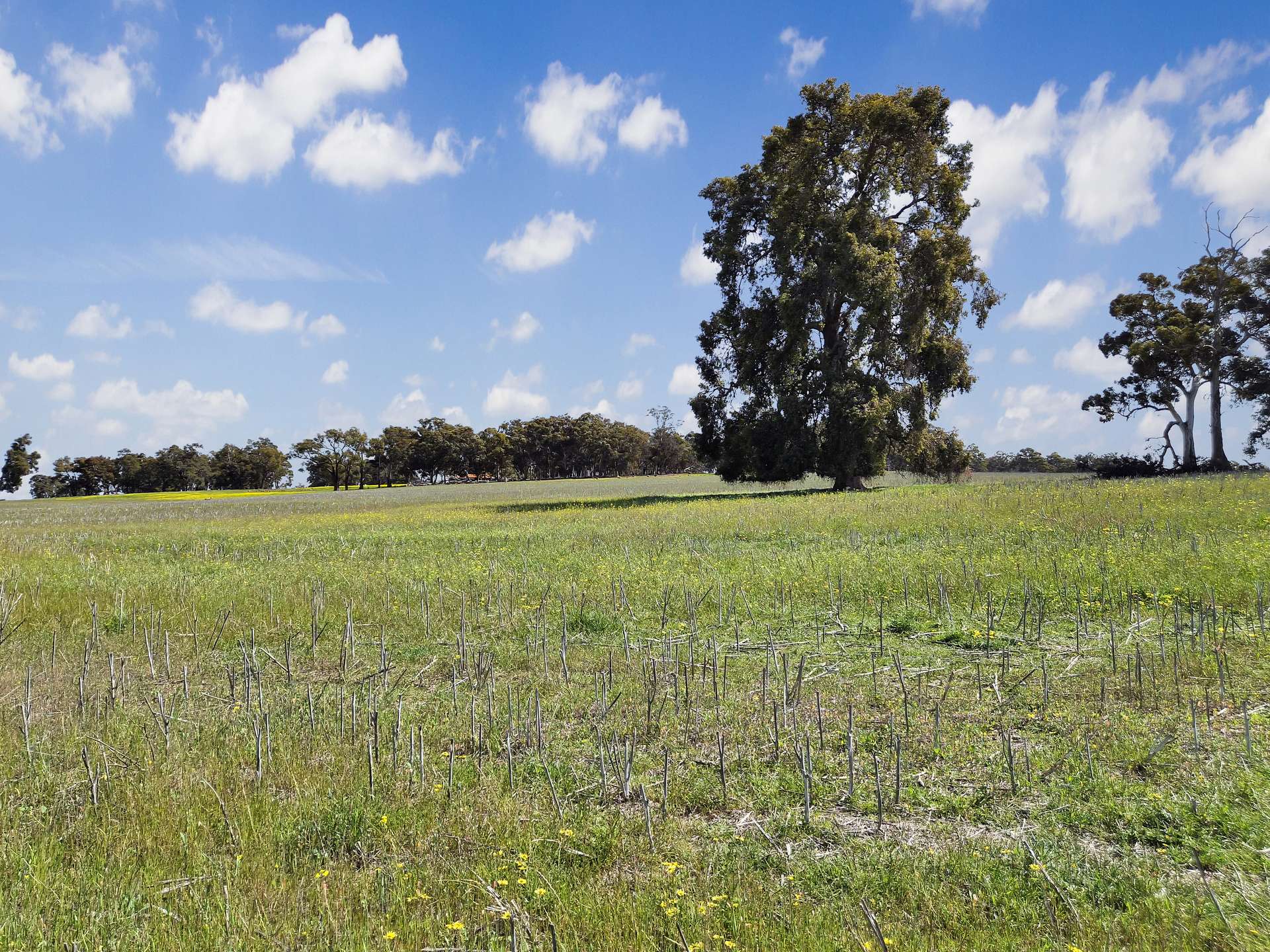 30 English Rd, Dardadine For Sale by Farmbuy.com - image 21