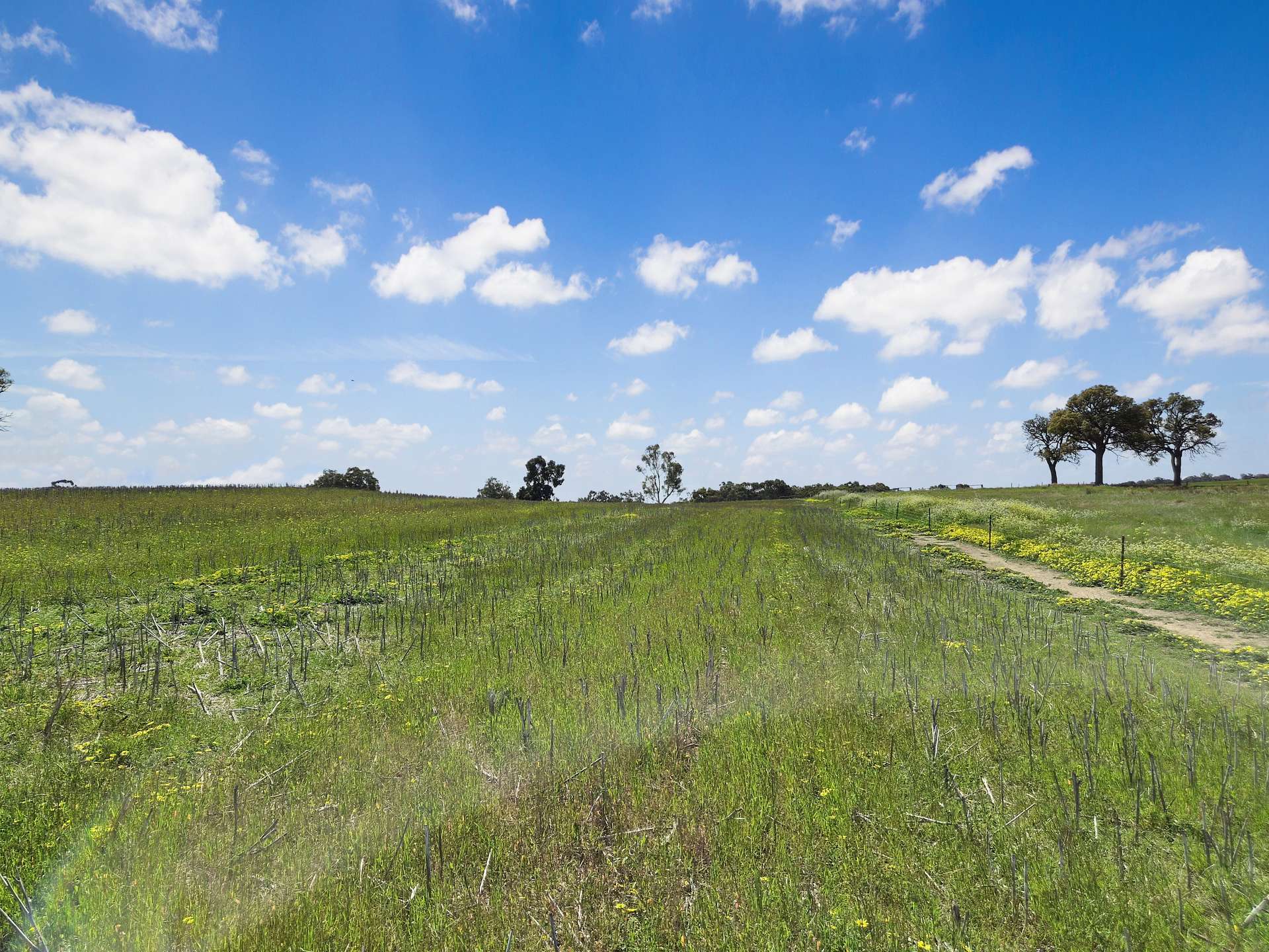 30 English Rd, Dardadine For Sale by Farmbuy.com - image 23