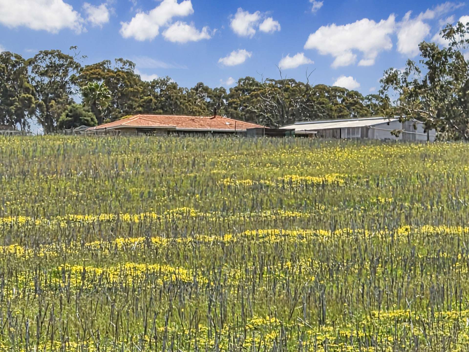 30 English Rd, Dardadine For Sale by Farmbuy.com - image 18