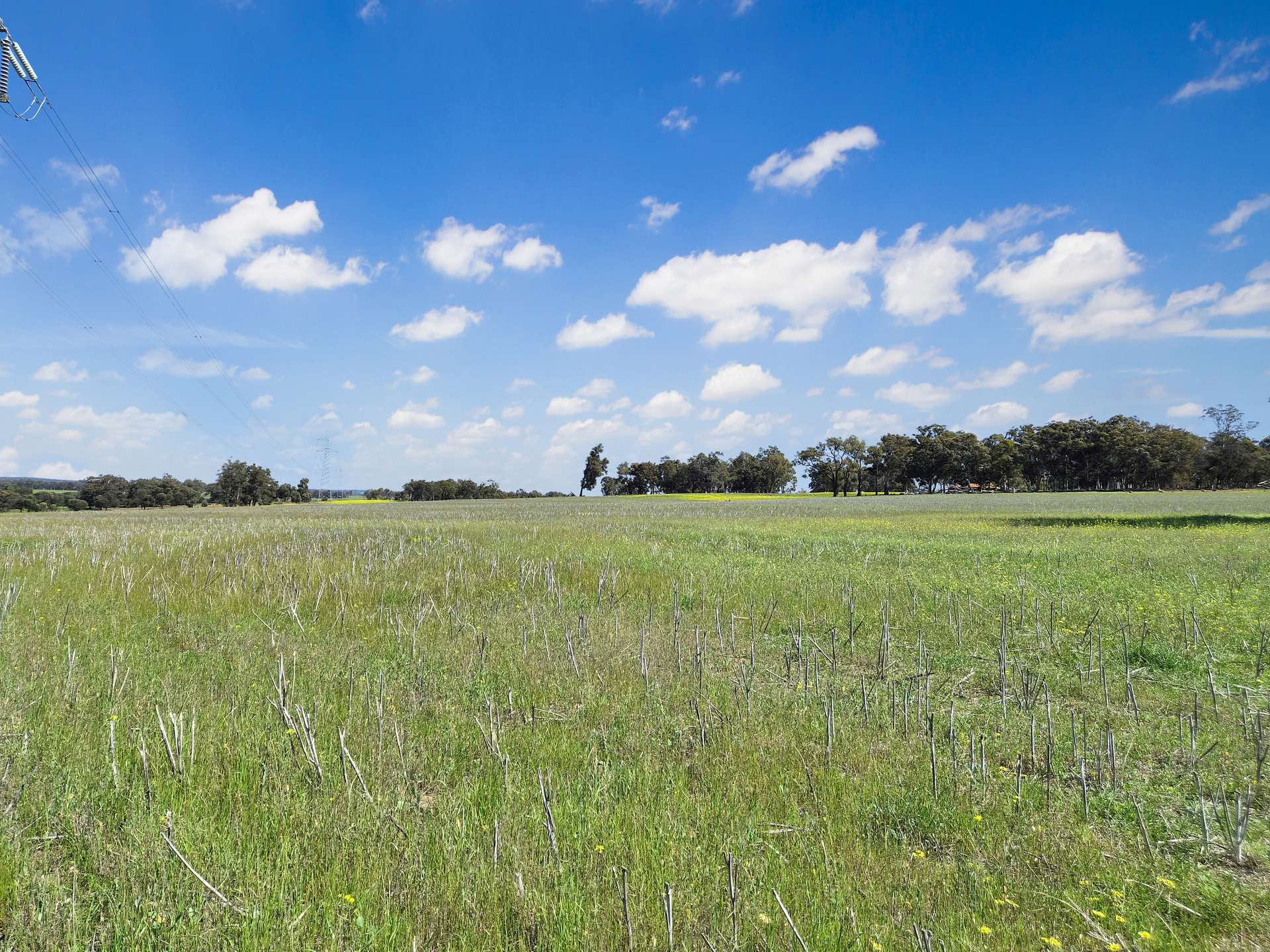 30 English Rd, Dardadine For Sale by Farmbuy.com - image 20