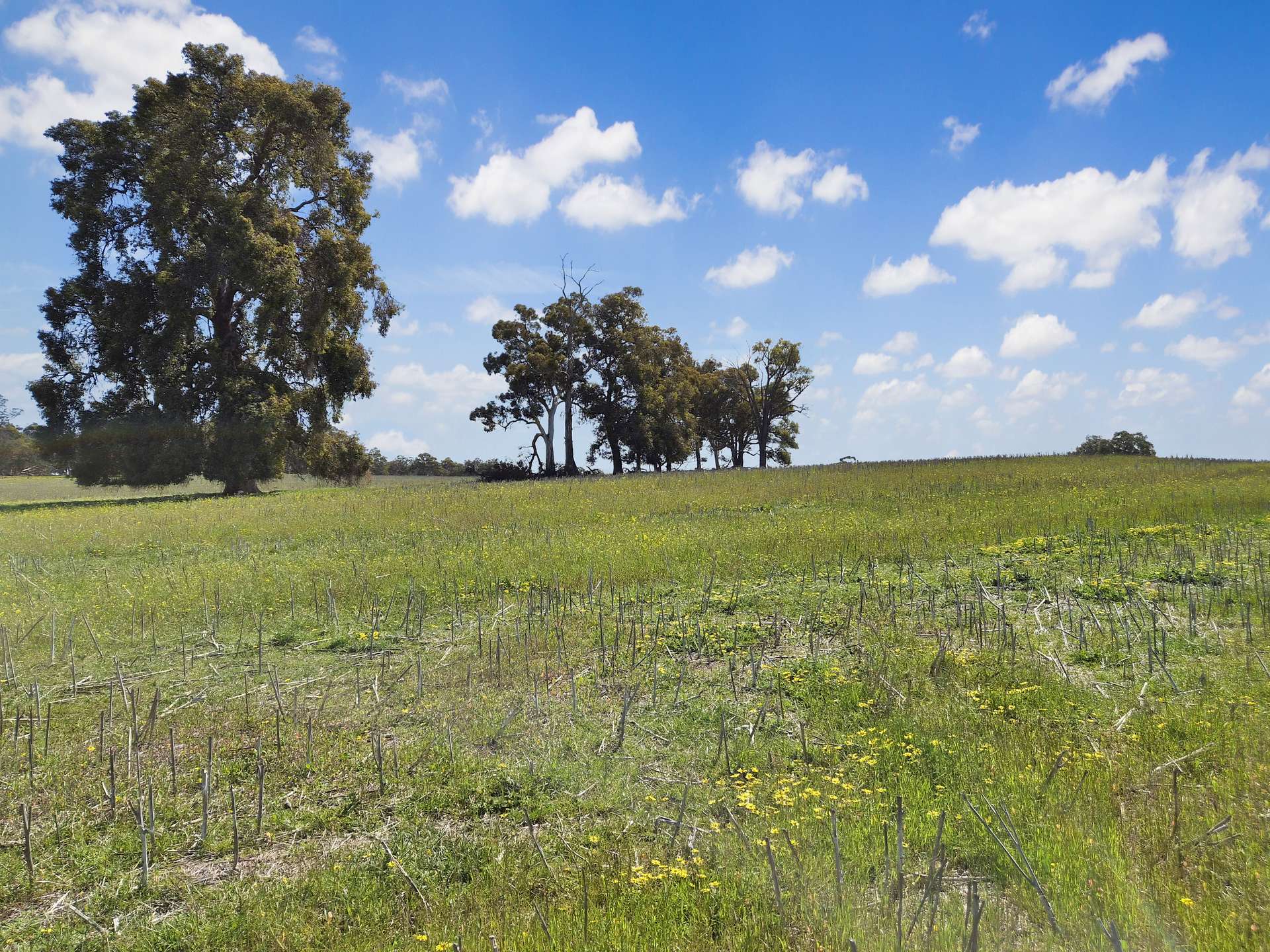 30 English Rd, Dardadine For Sale by Farmbuy.com - image 22