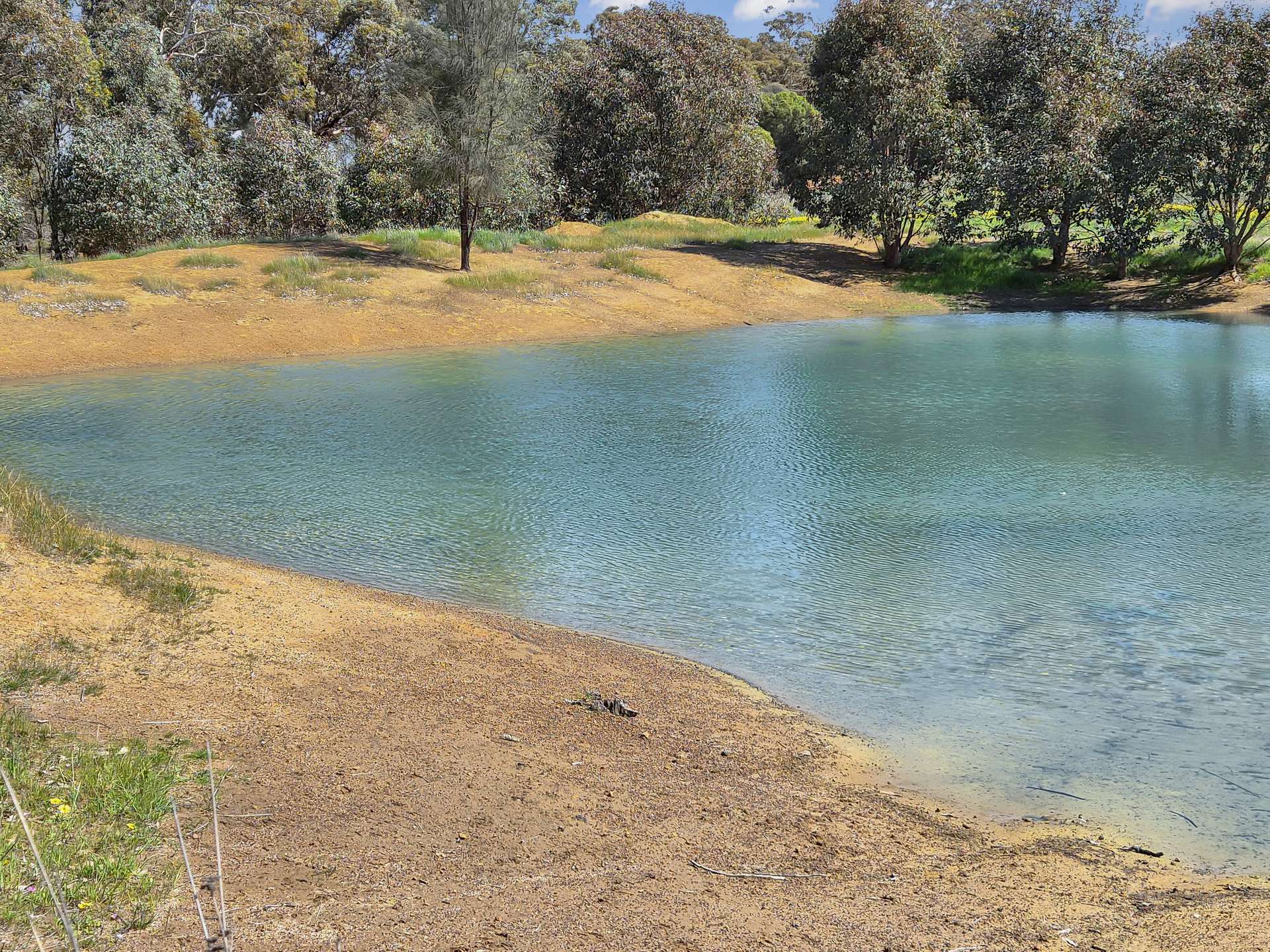 30 English Rd, Dardadine For Sale by Farmbuy.com - image 30