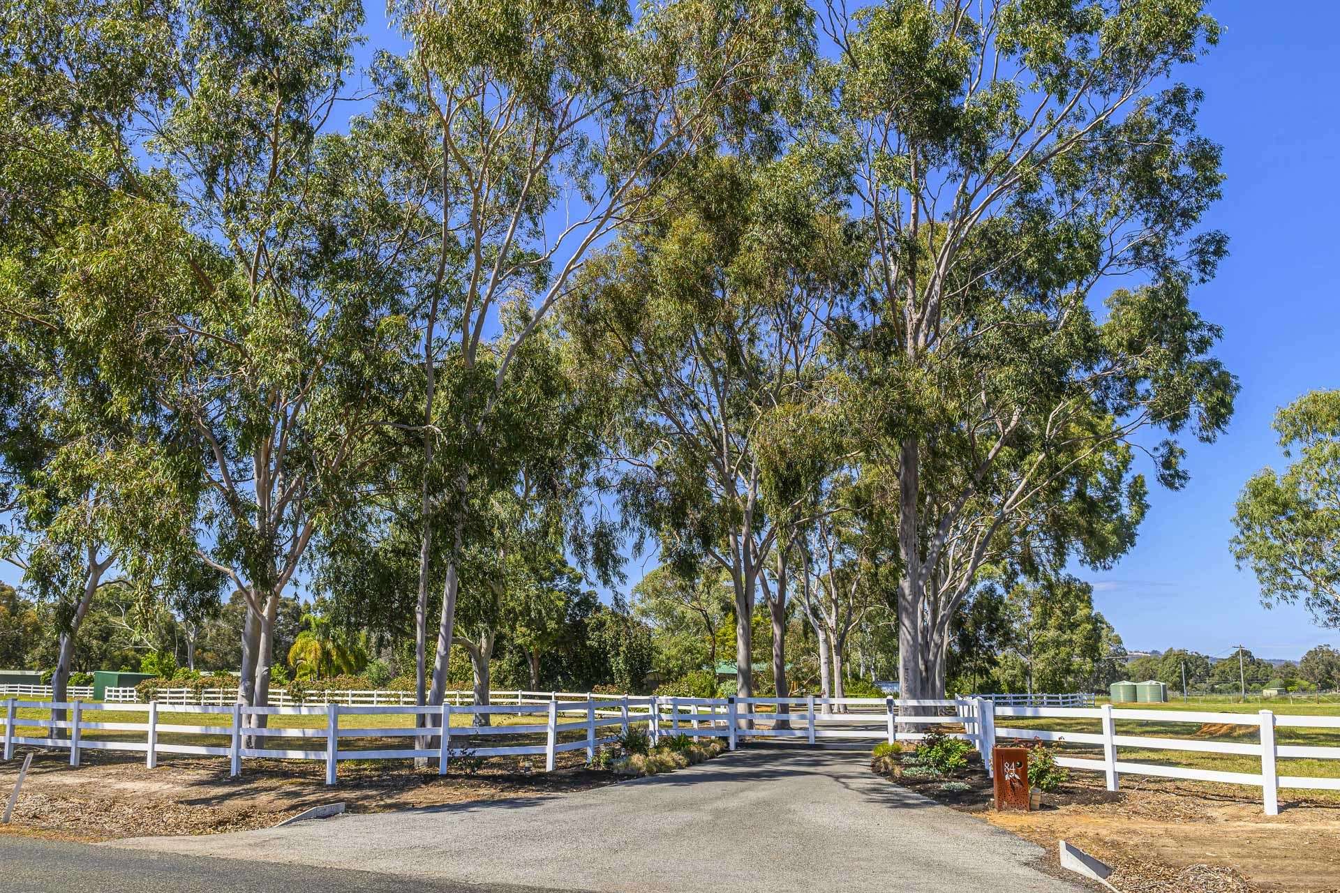 84 Cathedral Avenue, Brigadoon For Sale by Farmbuy.com - image 6