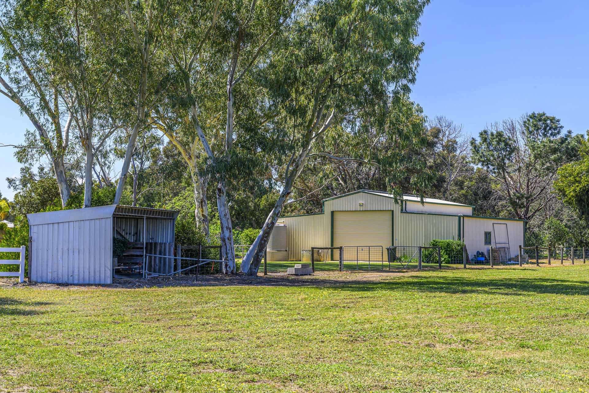 84 Cathedral Avenue, Brigadoon For Sale by Farmbuy.com - image 34