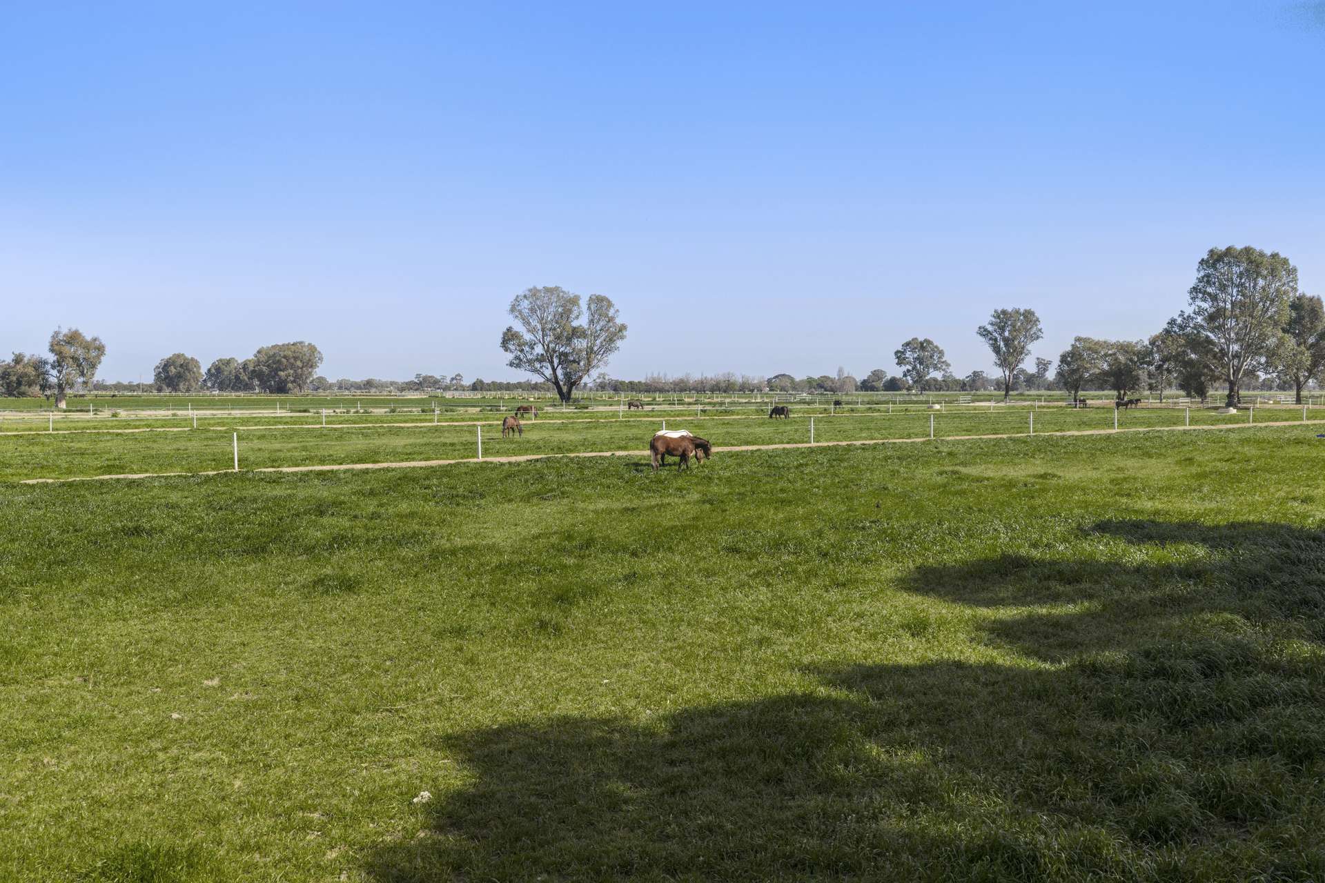 2 Dunstone Rd, Kyabram Auction by Farmbuy.com - image 16