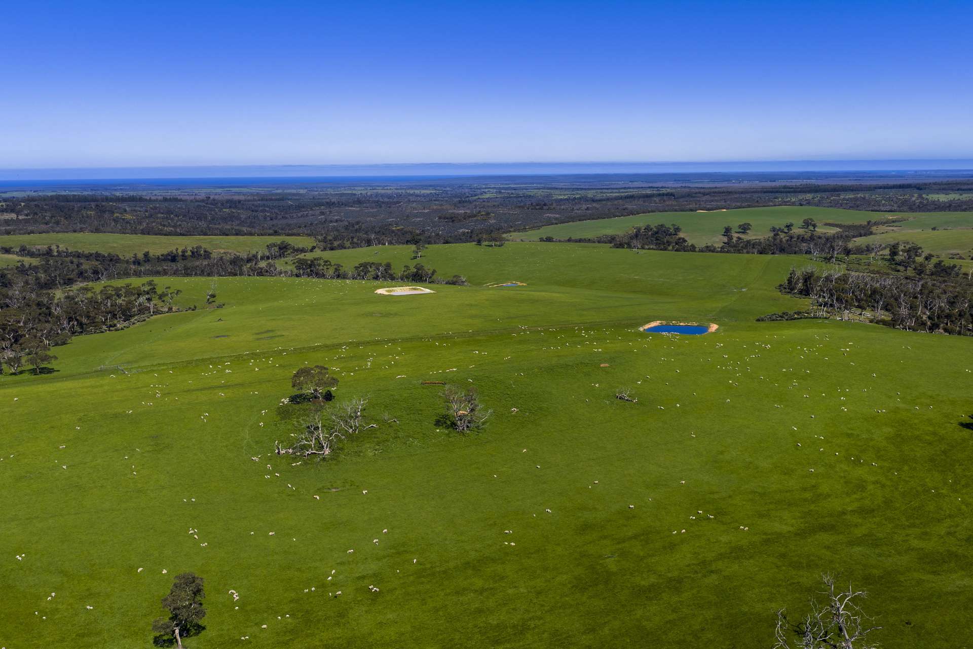 980 Mount Taylor Road, Gosse For Sale by Farmbuy.com - image 13