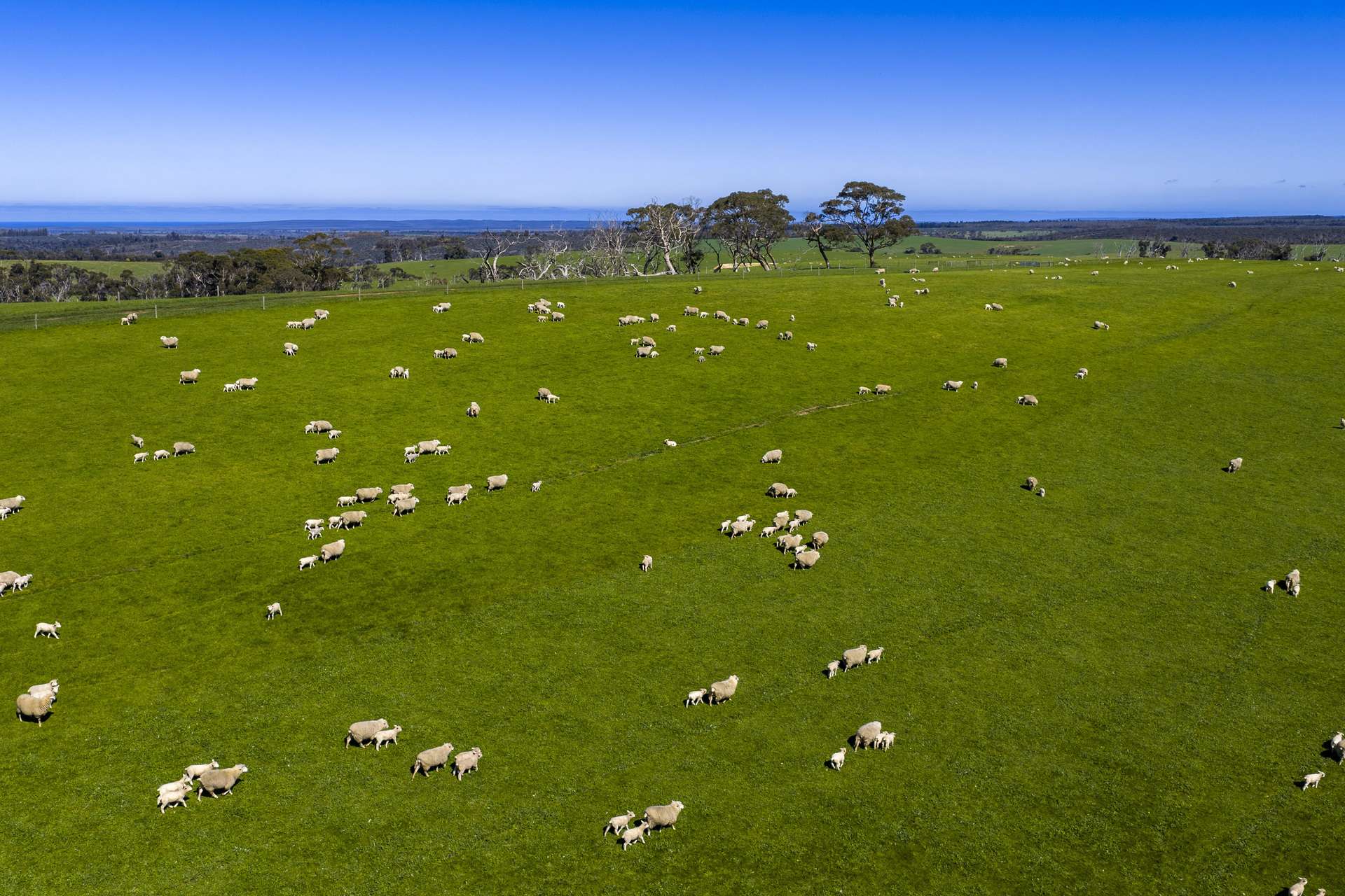 980 Mount Taylor Road, Gosse For Sale by Farmbuy.com - image 12