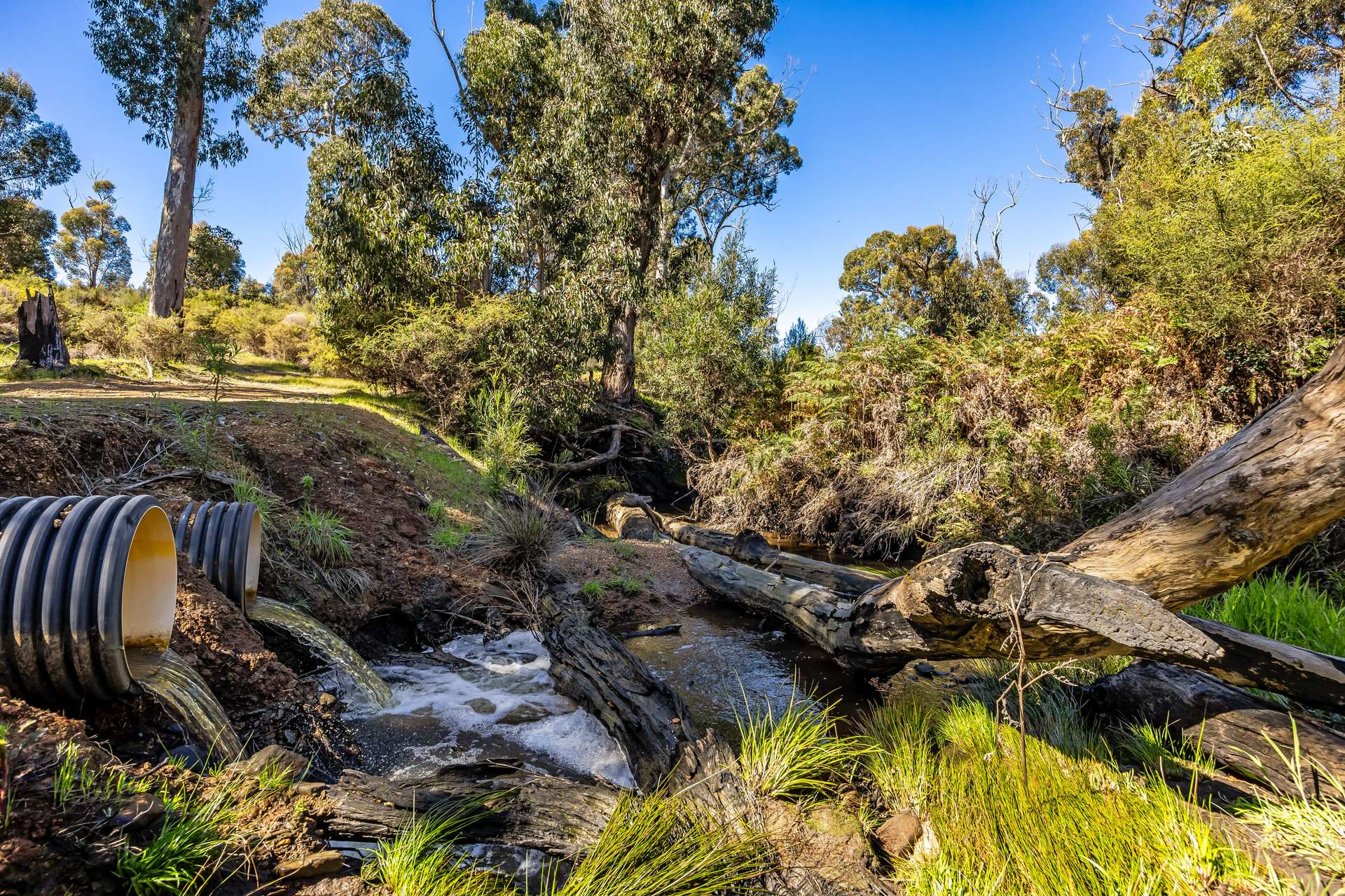 980 Mount Taylor Road, Gosse For Sale by Farmbuy.com - image 20