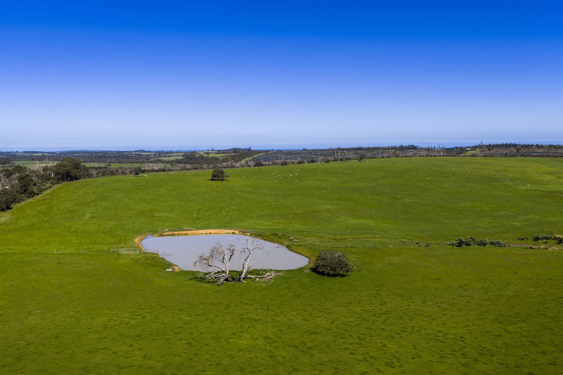 980 Mount Taylor Road, Gosse For Sale by Farmbuy.com - image 21