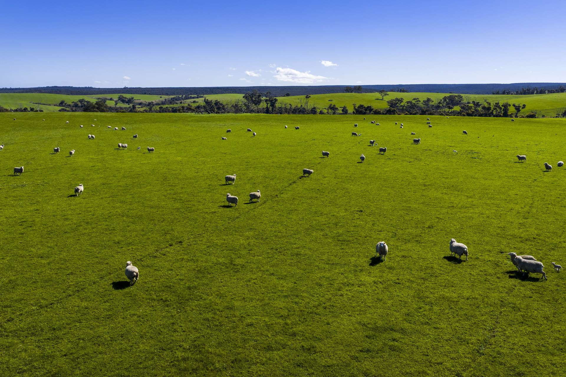 980 Mount Taylor Road, Gosse For Sale by Farmbuy.com - image 16
