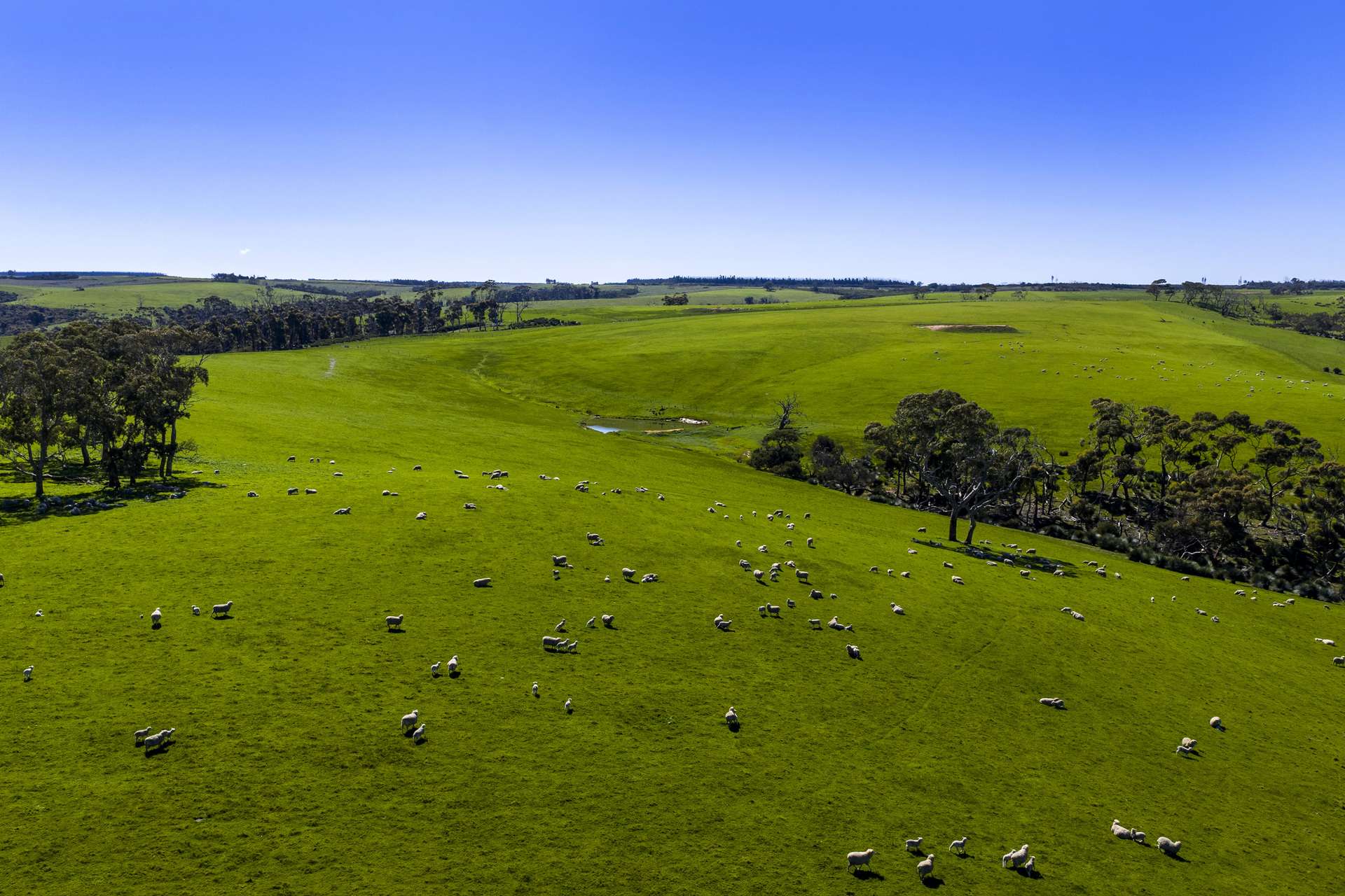 980 Mount Taylor Road, Gosse For Sale by Farmbuy.com - image 15