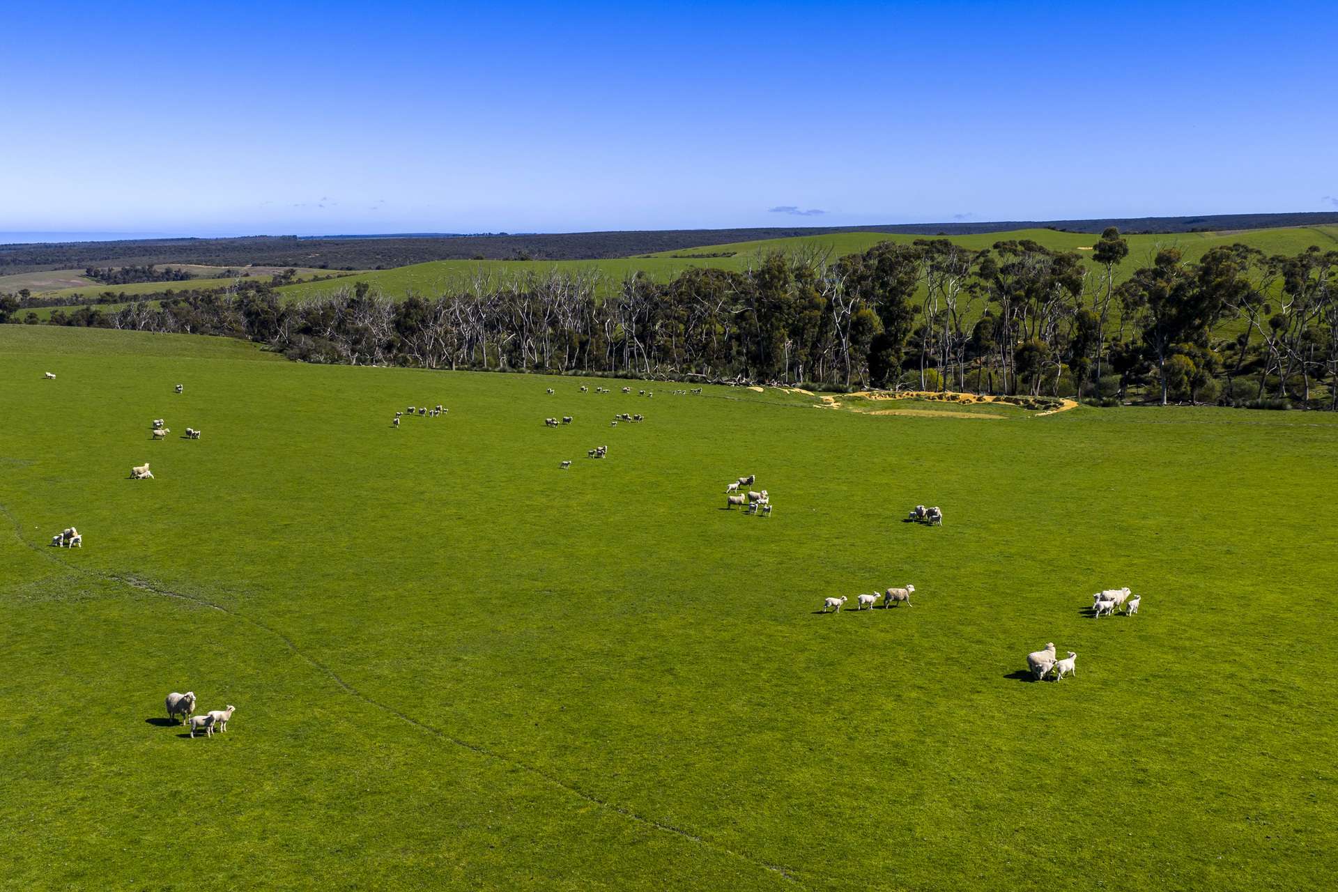 980 Mount Taylor Road, Gosse For Sale by Farmbuy.com - image 22