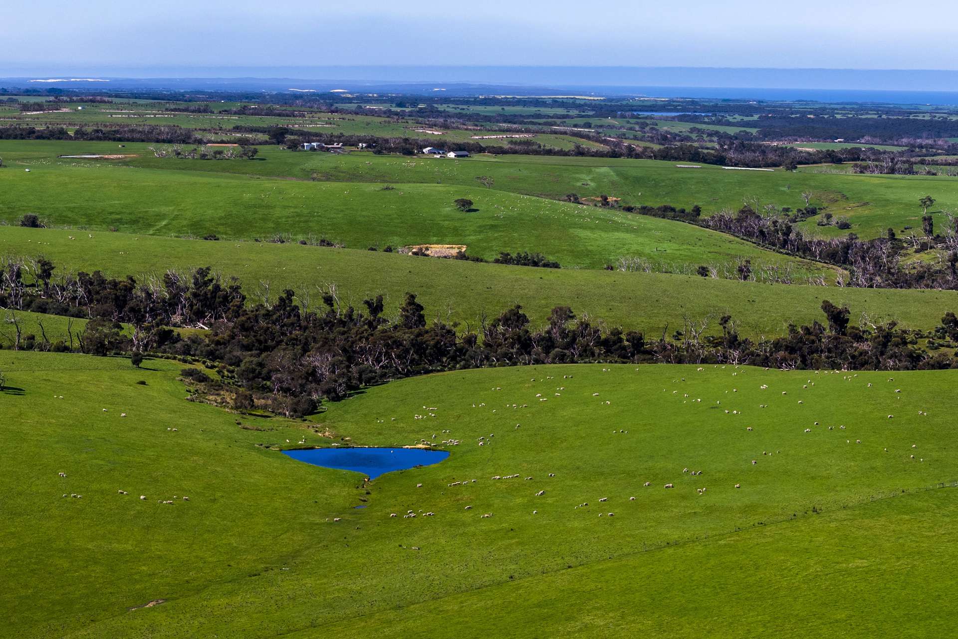 980 Mount Taylor Road, Gosse For Sale by Farmbuy.com - image 19
