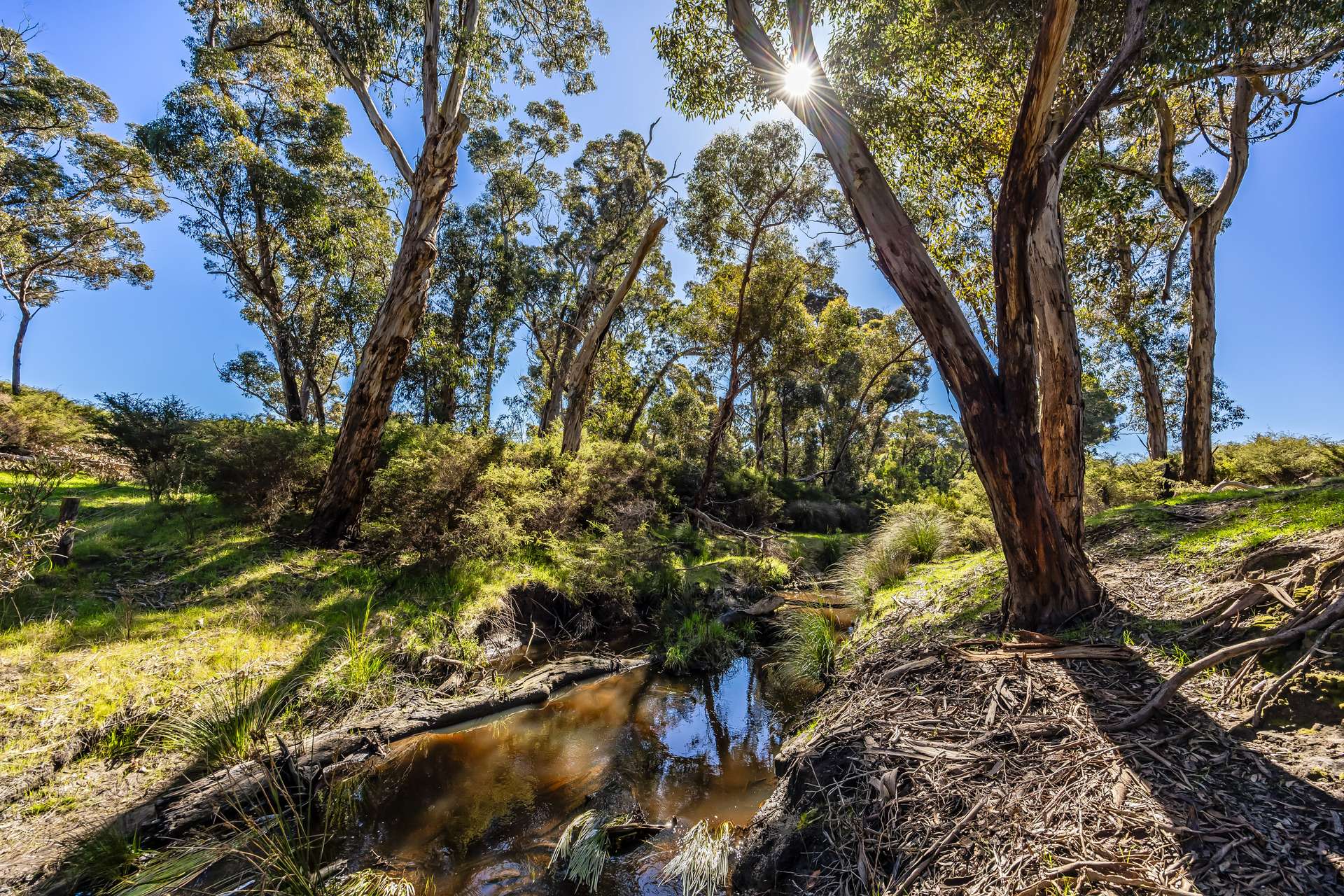980 Mount Taylor Road, Gosse For Sale by Farmbuy.com - image 23