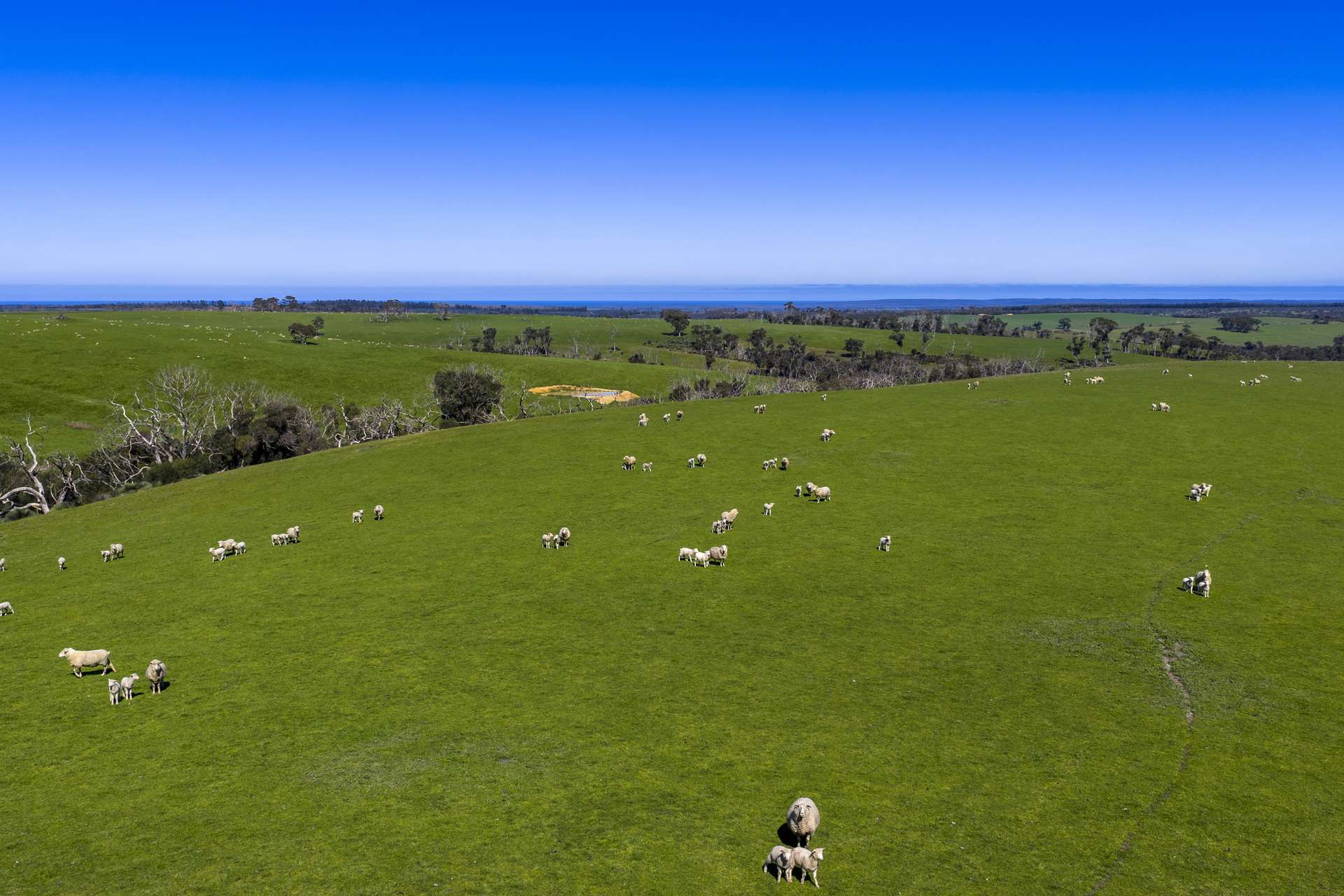 980 Mount Taylor Road, Gosse For Sale by Farmbuy.com - image 14