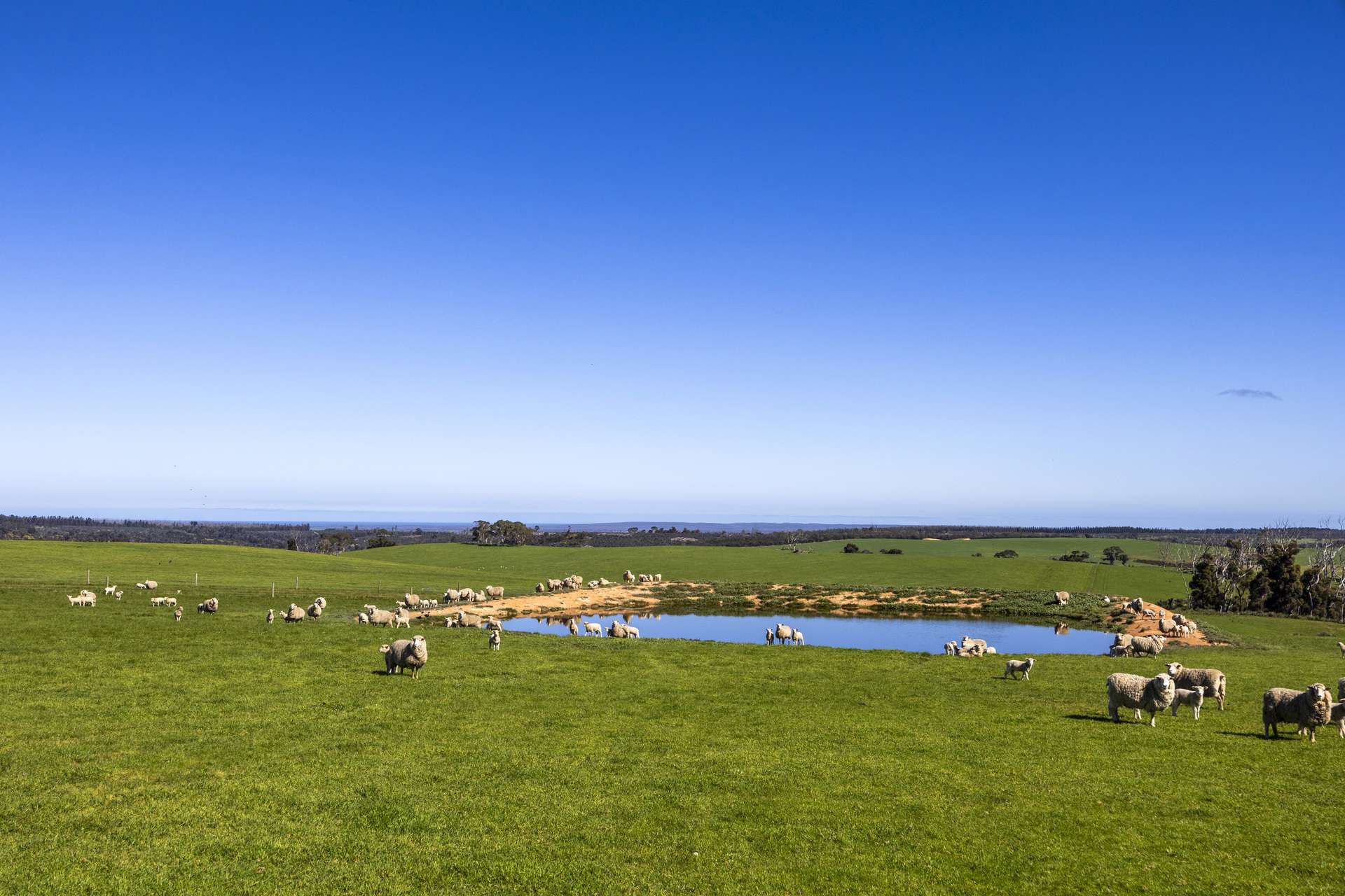 980 Mount Taylor Road, Gosse For Sale by Farmbuy.com - image 10