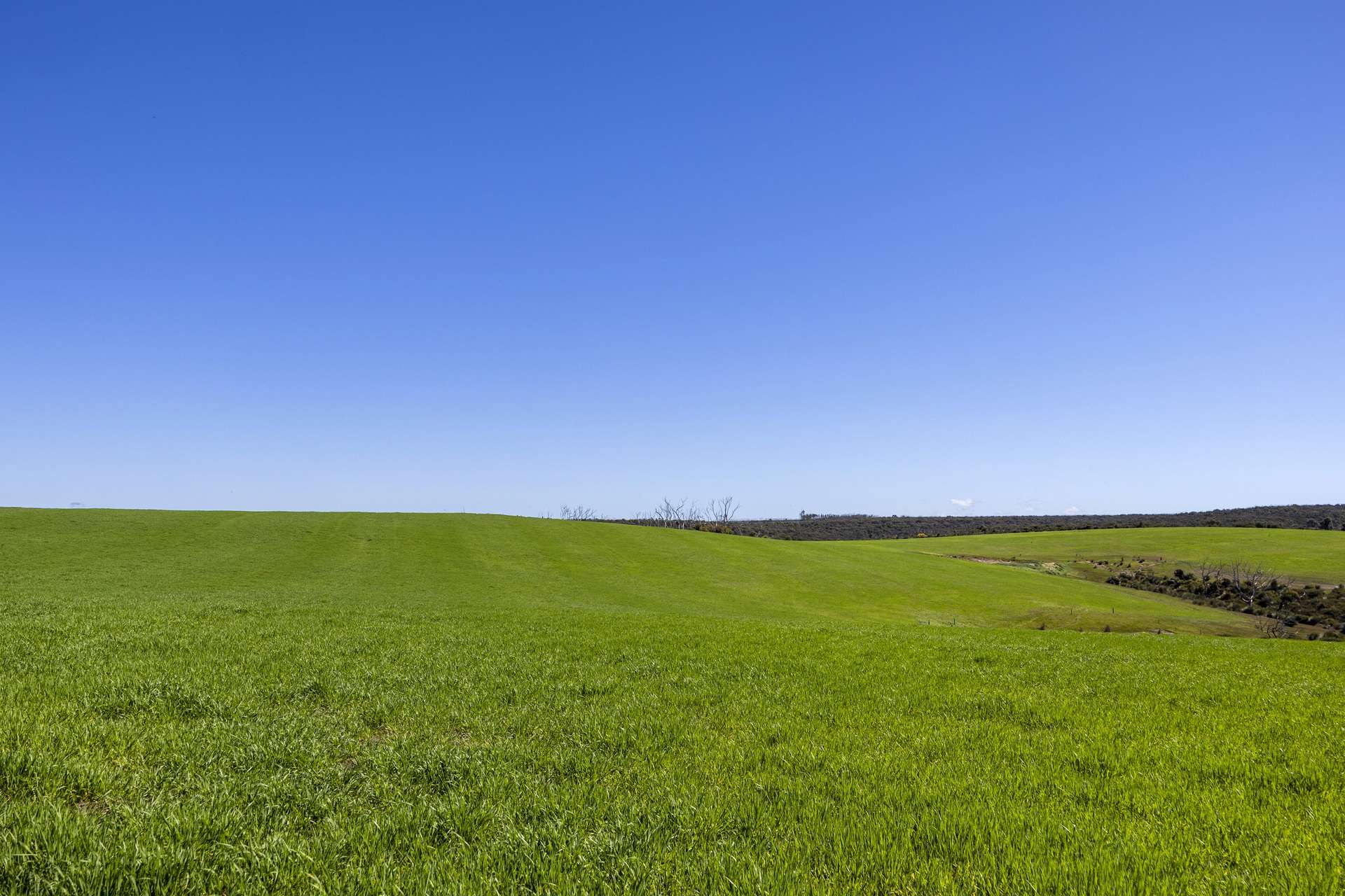 980 Mount Taylor Road, Gosse For Sale by Farmbuy.com - image 11