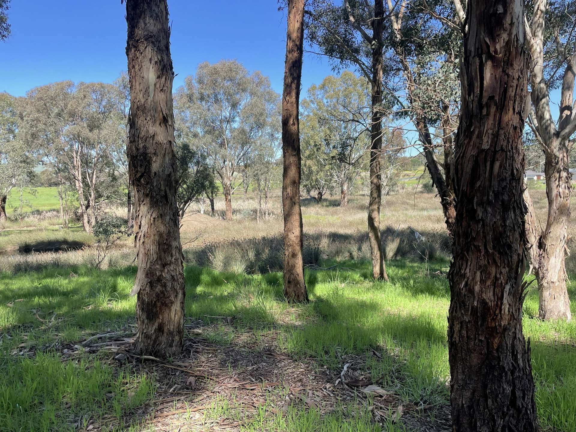 Lot 4, 7-9B Springflat Drive, Gundagai For Sale by Farmbuy.com - image 9