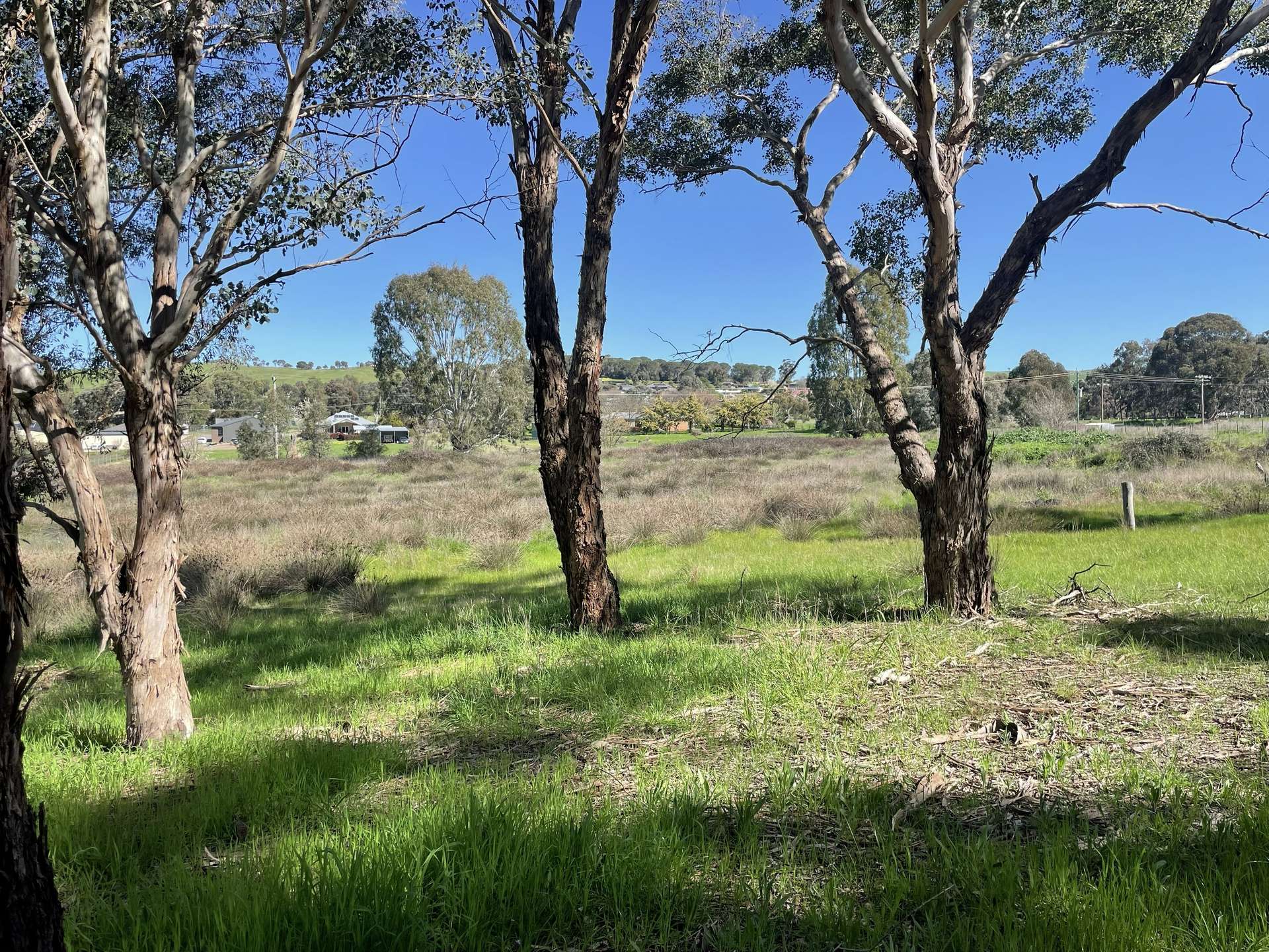 Lot 4, 7-9B Springflat Drive, Gundagai For Sale by Farmbuy.com - image 8