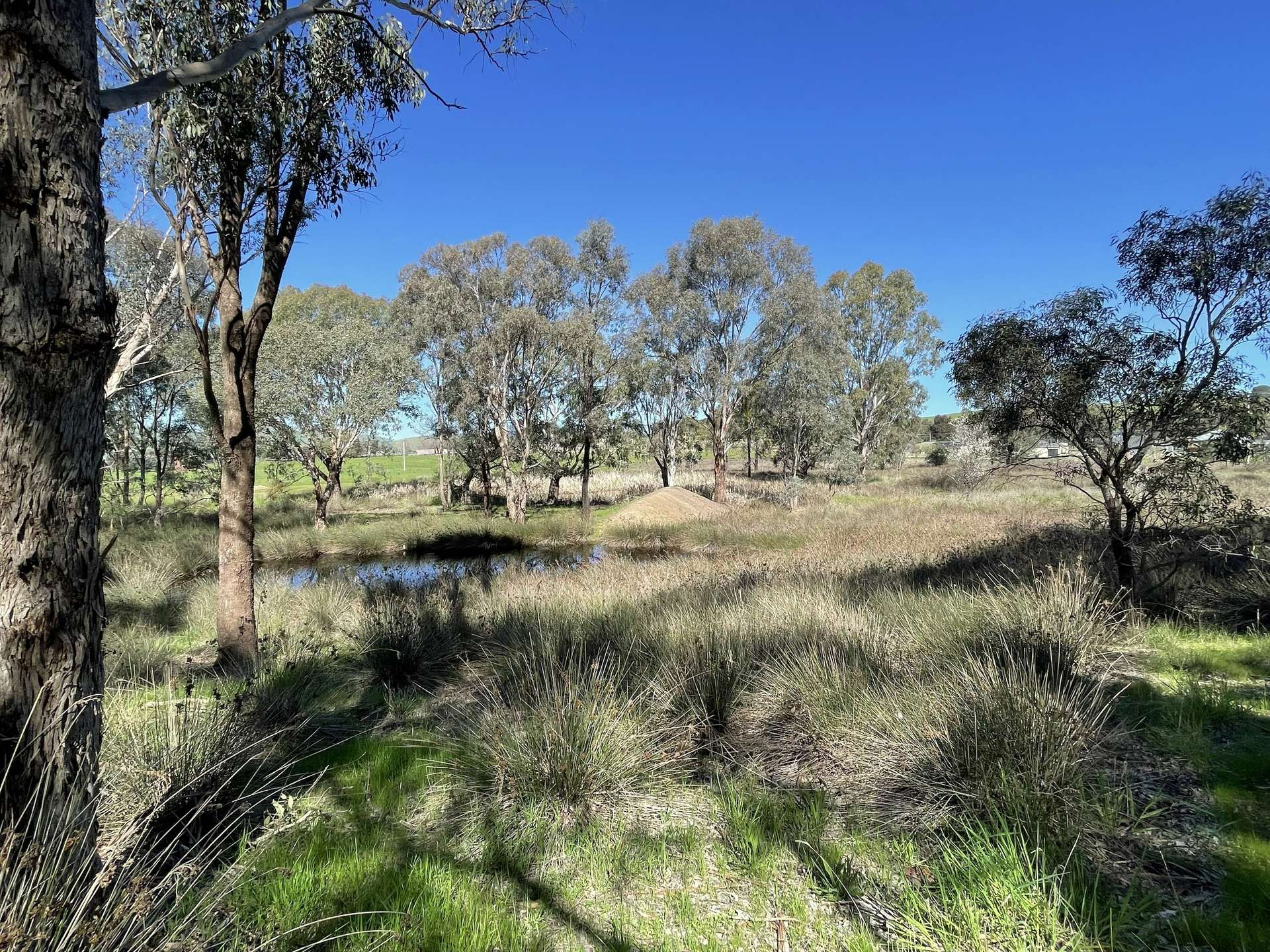 Lot 4, 7-9B Springflat Drive, Gundagai For Sale by Farmbuy.com - image 11