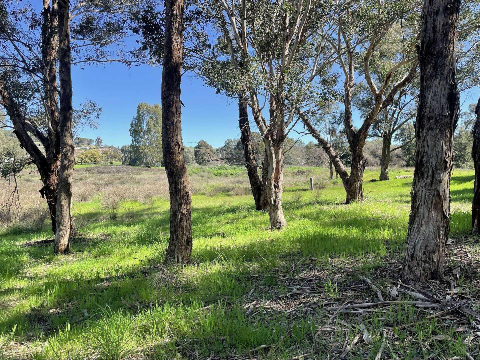 Lot 4, 7-9B Springflat Drive, Gundagai For Sale by Farmbuy.com - image 10