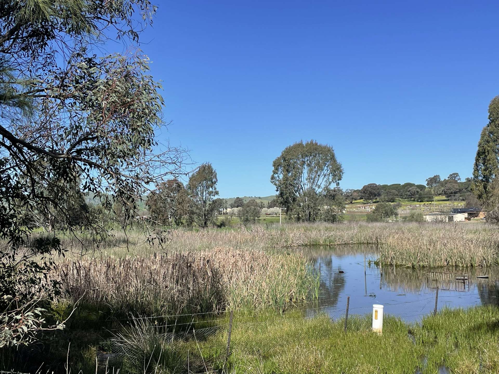Lot 4, 7-9B Springflat Drive, Gundagai For Sale by Farmbuy.com - image 12