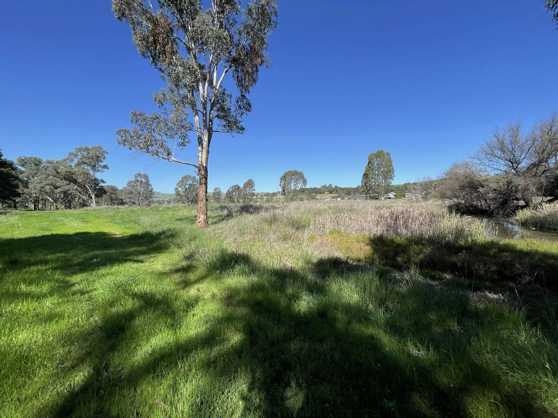 Lot 4, 7-9B Springflat Drive, Gundagai For Sale by Farmbuy.com - image 7
