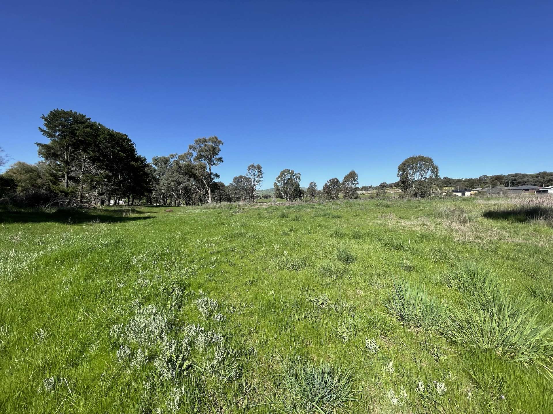 Lot 4, 7-9B Springflat Drive, Gundagai For Sale by Farmbuy.com - image 6