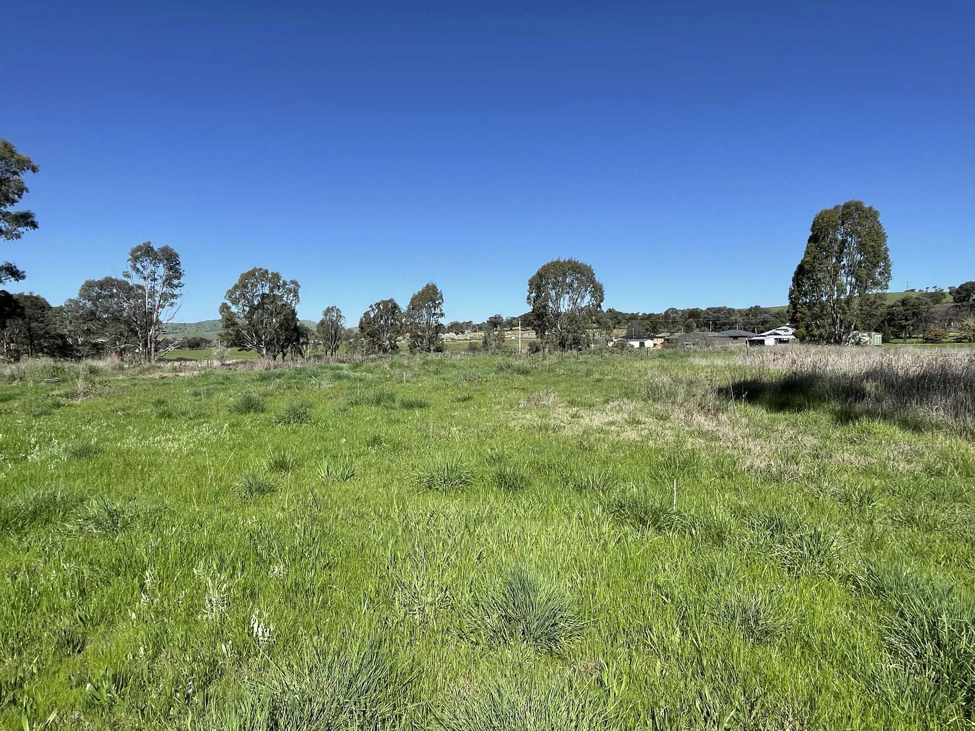 Lot 4, 7-9B Springflat Drive, Gundagai For Sale by Farmbuy.com - image 2
