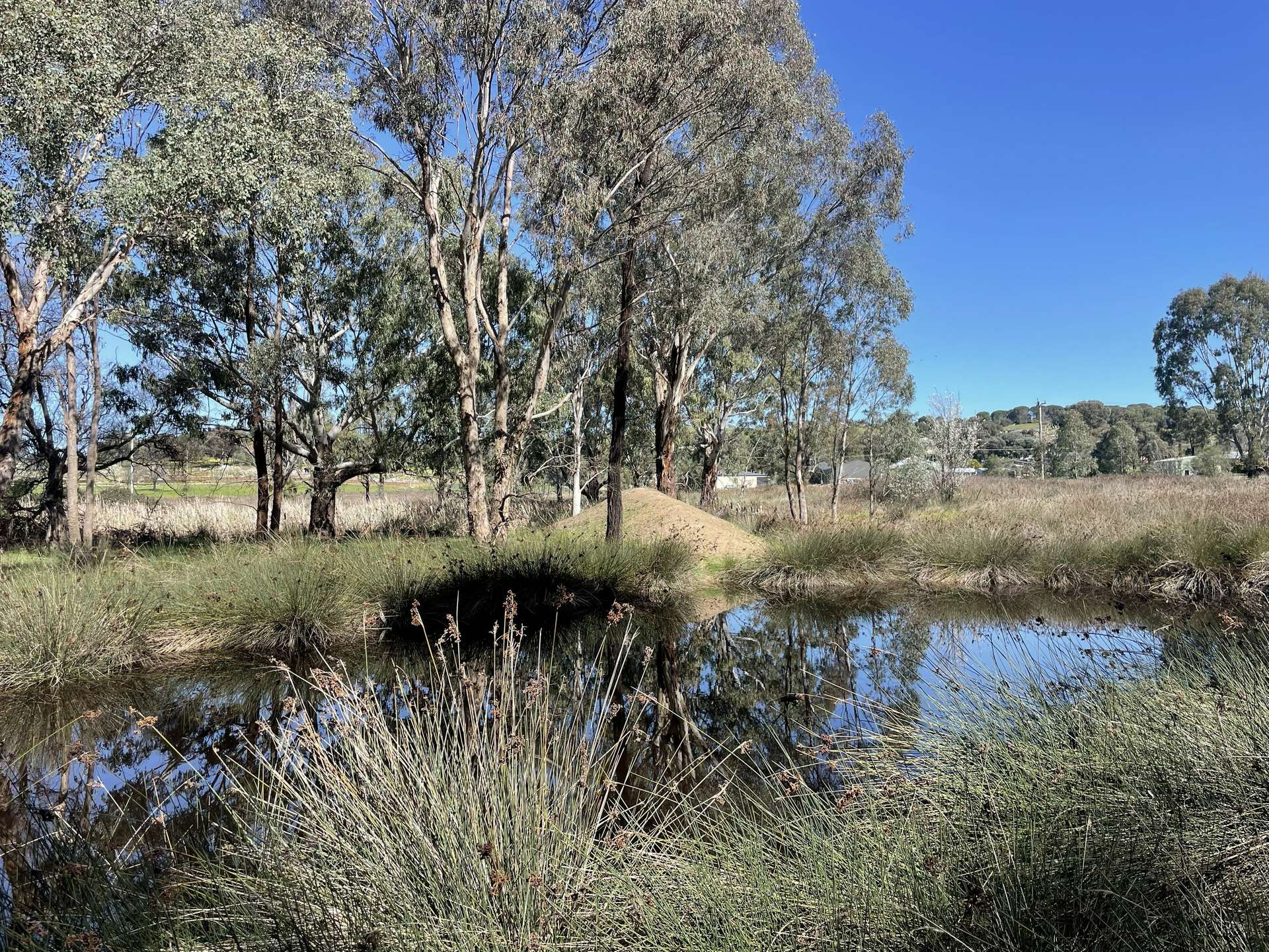 Lot 4, 7-9B Springflat Drive, Gundagai For Sale by Farmbuy.com - image 3