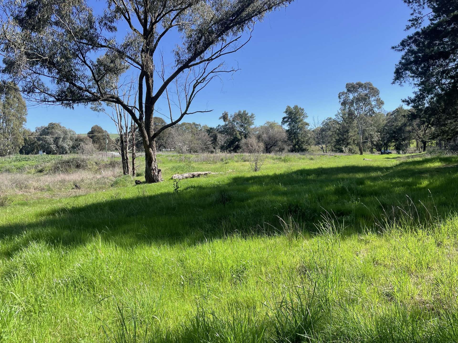 Lot 4, 7-9B Springflat Drive, Gundagai For Sale by Farmbuy.com - image 4