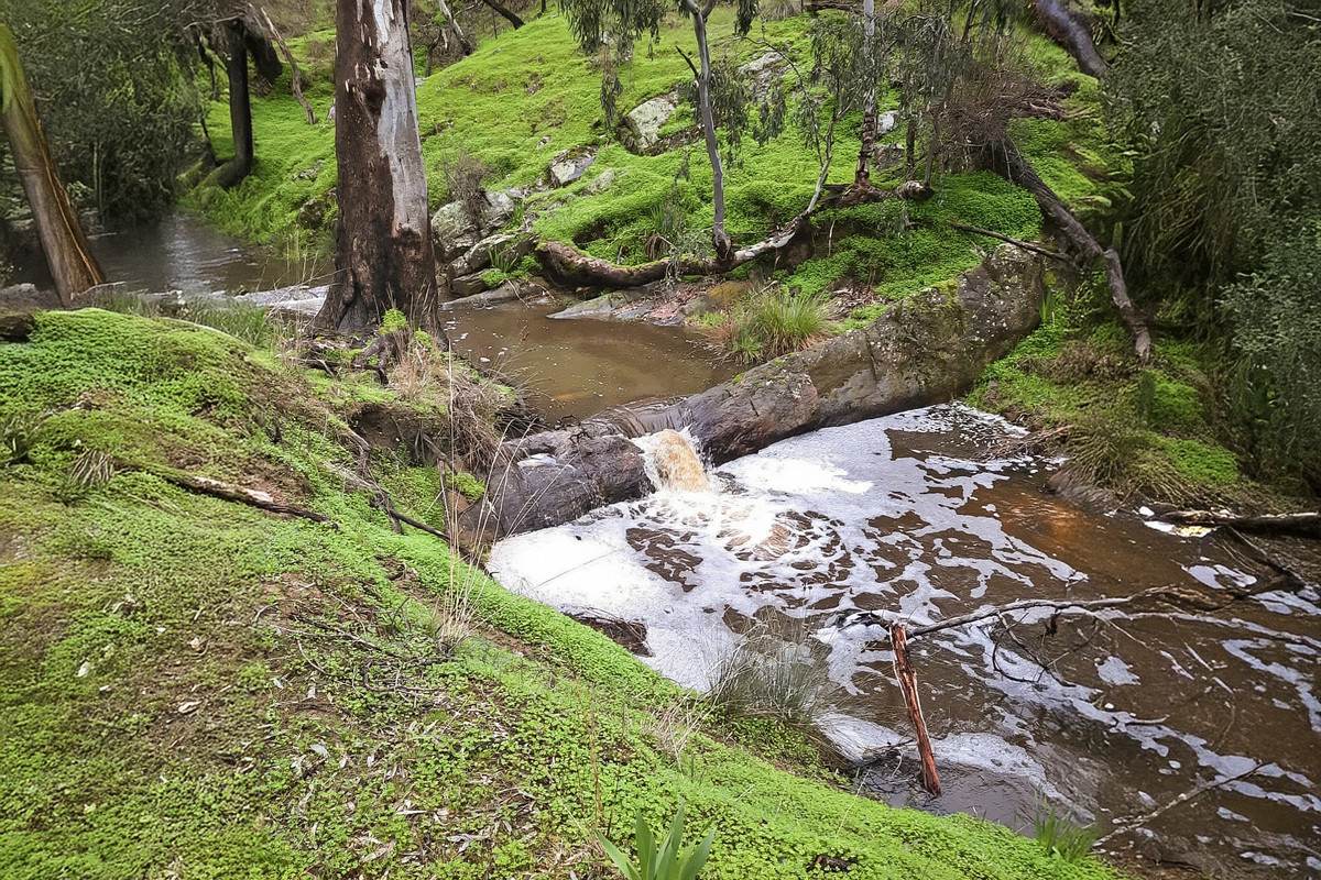 59 Browns Lane, Emu Creek For Sale by Farmbuy.com - image 35