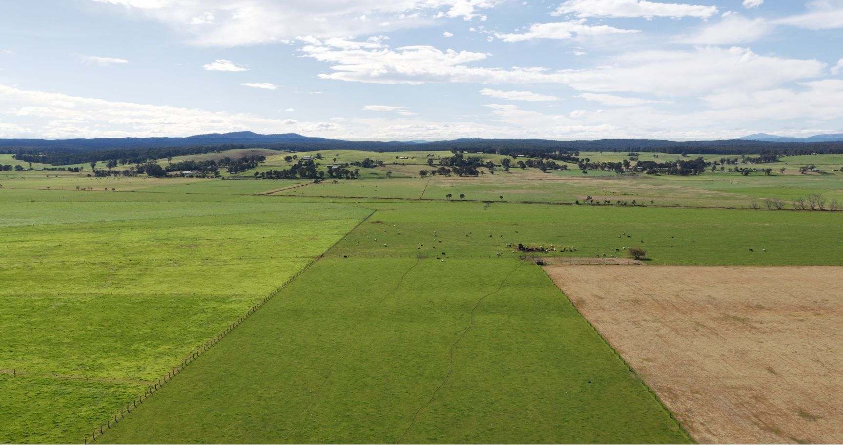 424 Princes Highway, Orbost Auction by Farmbuy.com - image 11