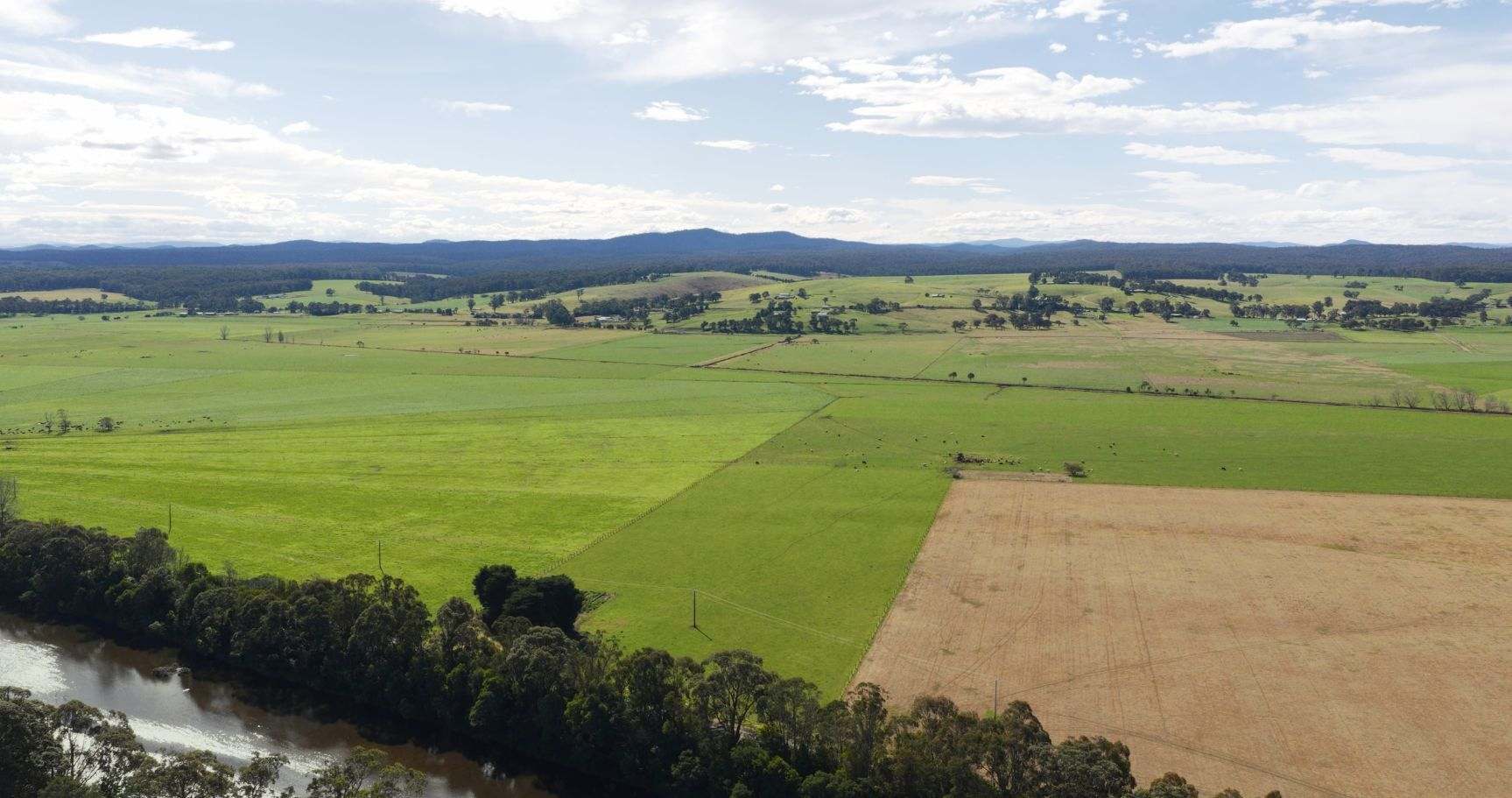 424 Princes Highway, Orbost Auction by Farmbuy.com - image 6